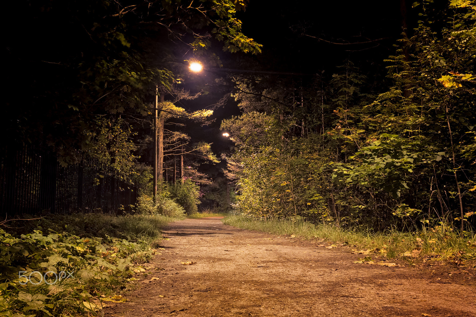 Canon EF-S 24mm F2.8 STM sample photo. Path to the darkness photography
