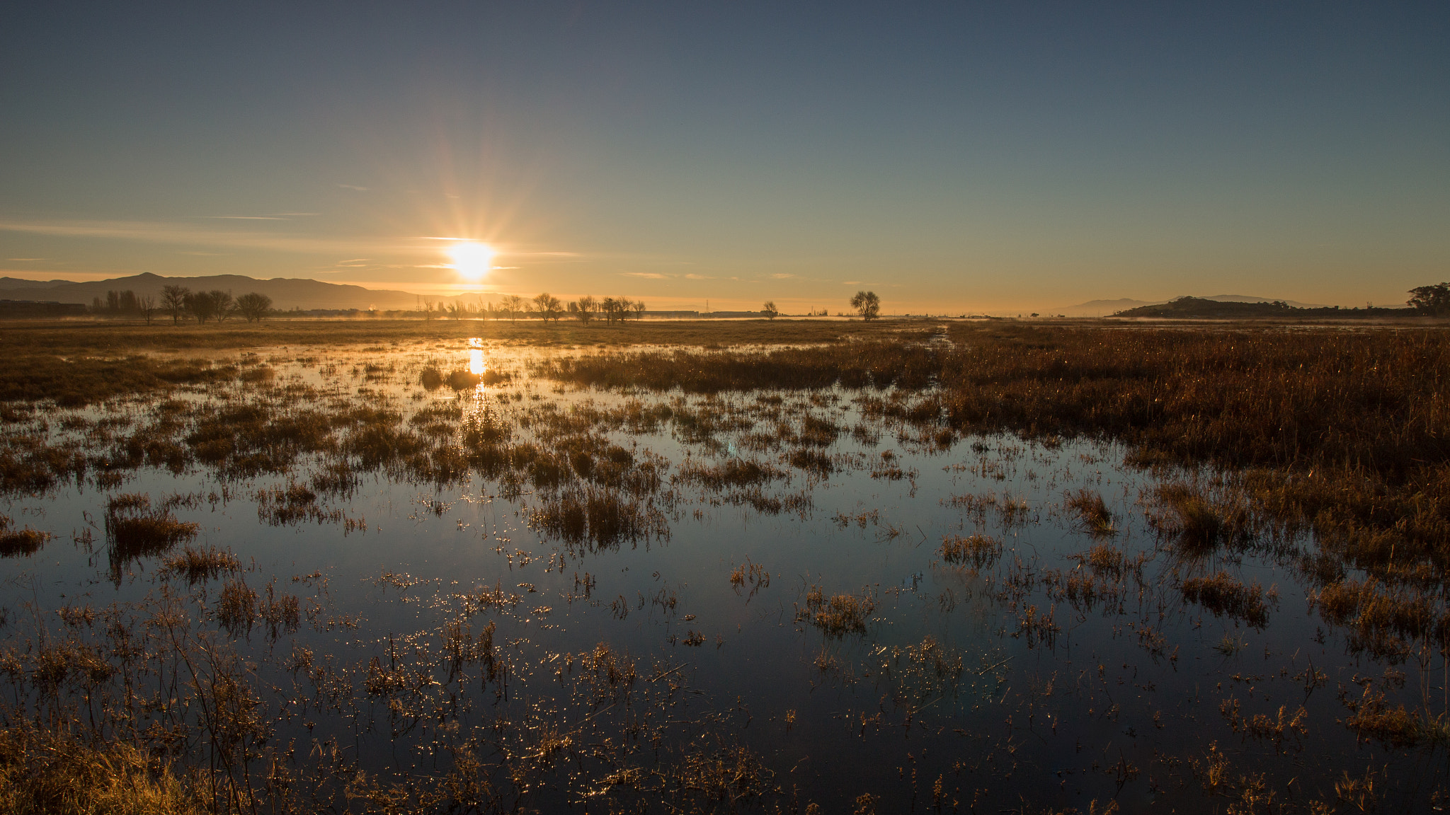 Canon EOS 100D (EOS Rebel SL1 / EOS Kiss X7) sample photo. Coyote hills sunrise photography