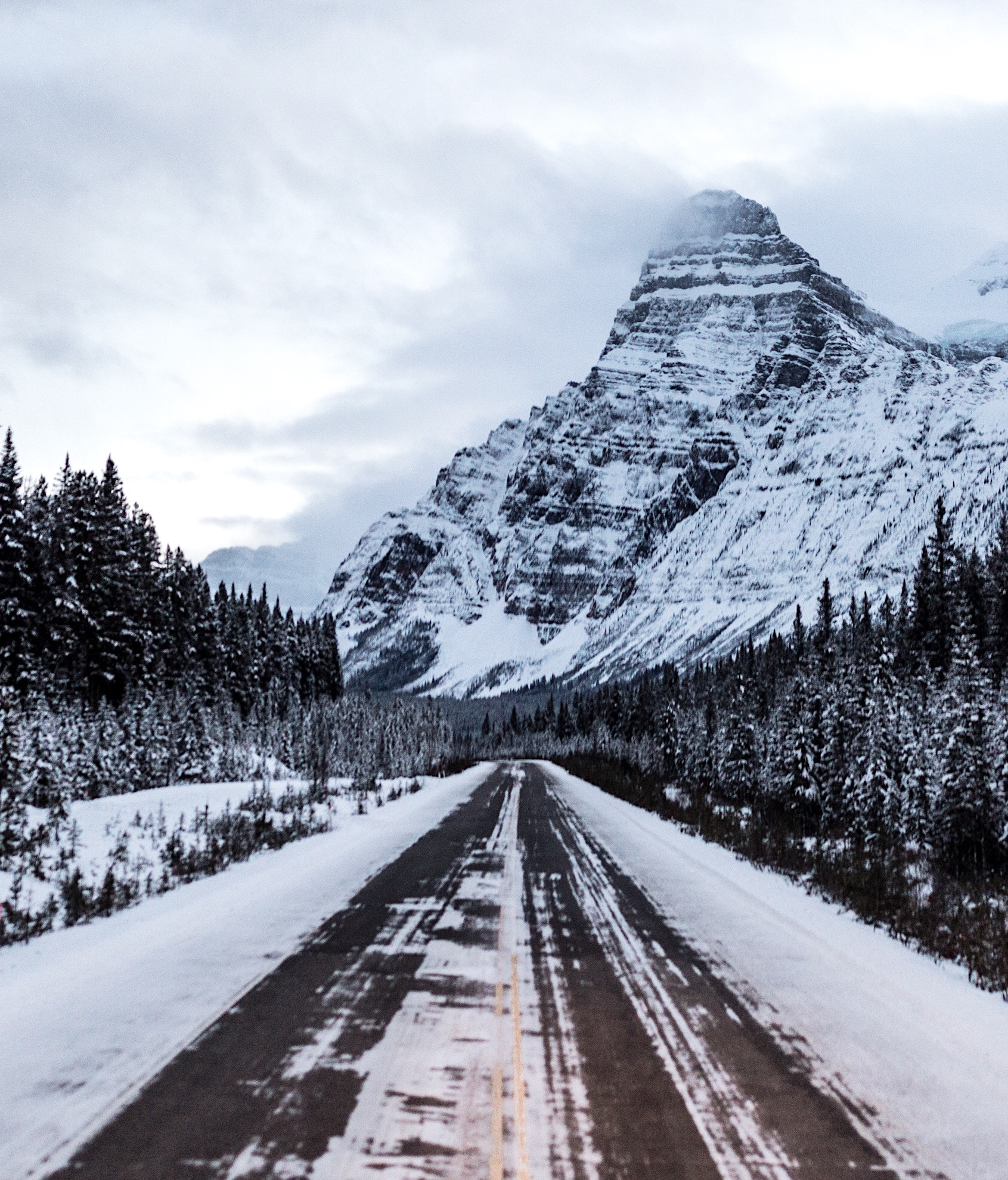 Nikon D4 sample photo. Icefields parkway. mt chephren. banff. alberta. photography