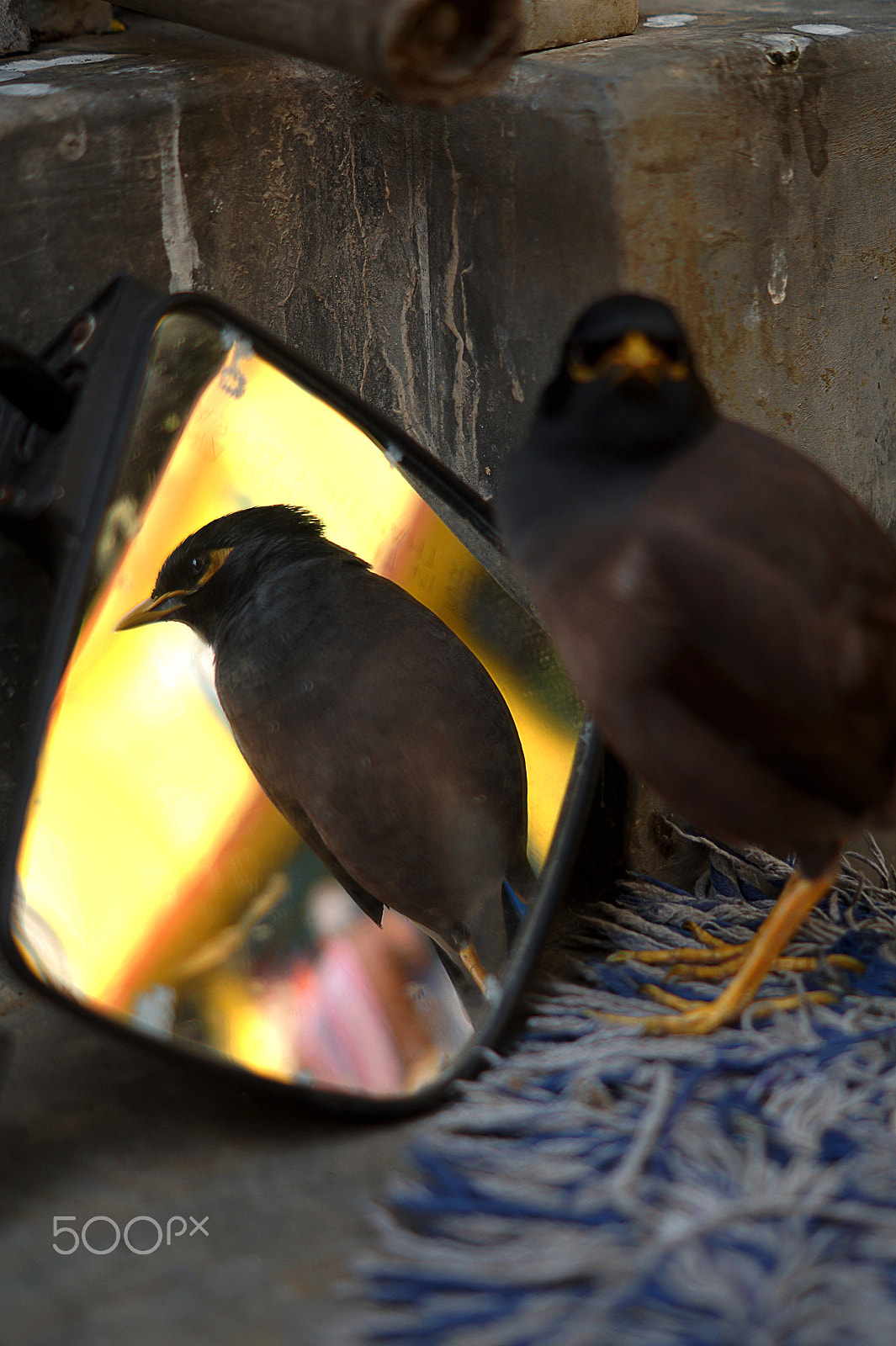 Sony SLT-A58 + Sony DT 50mm F1.8 SAM sample photo. I look in the mirror photography