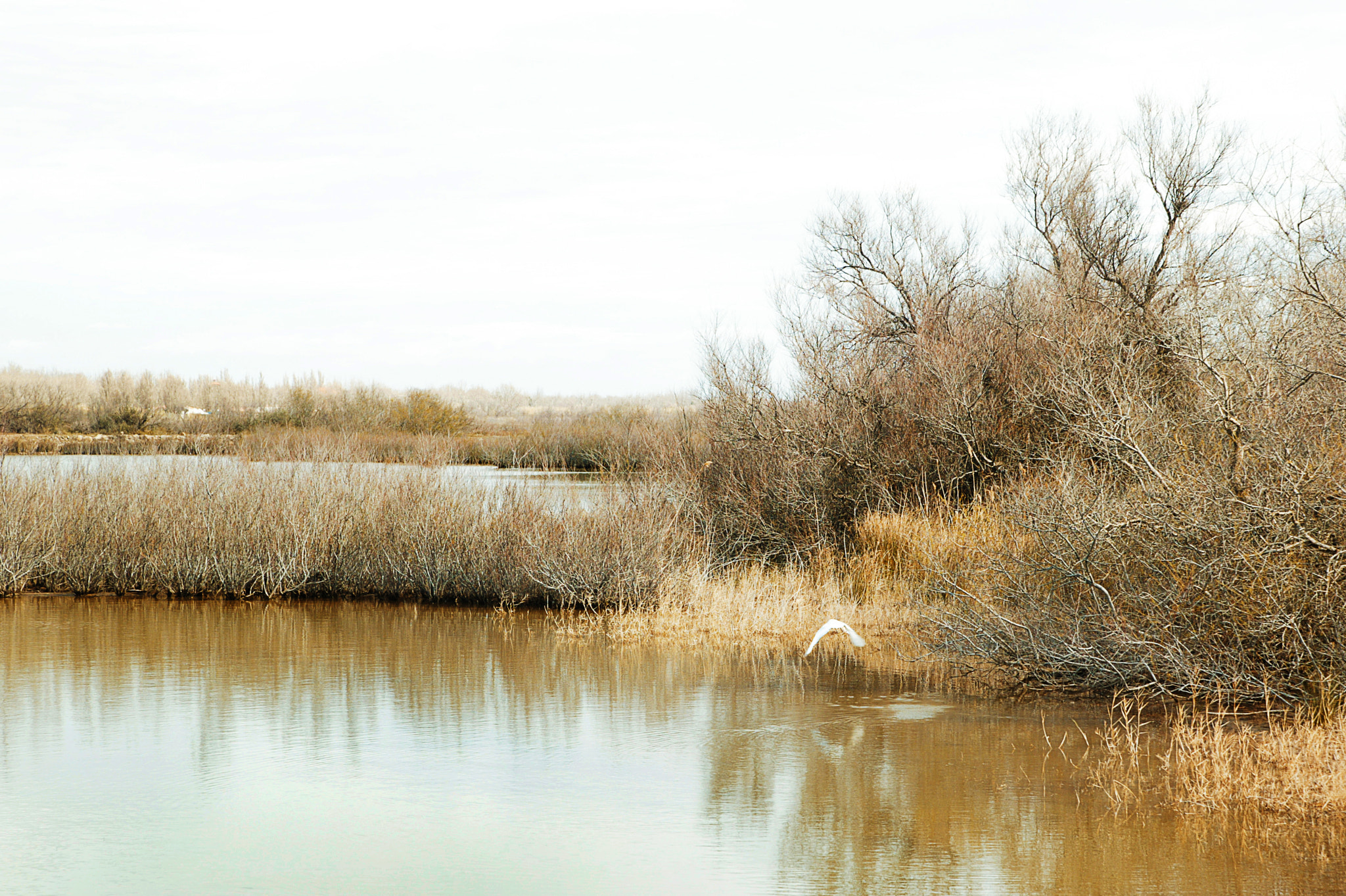 Canon EOS-1Ds sample photo. Autumn photography