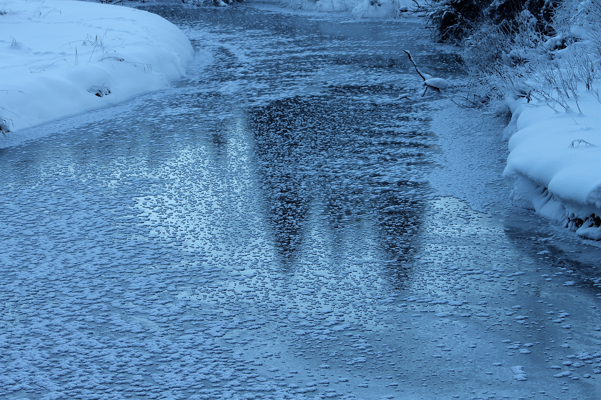 Canon EF 75-300mm f/4-5.6 USM sample photo. Ice cold photography