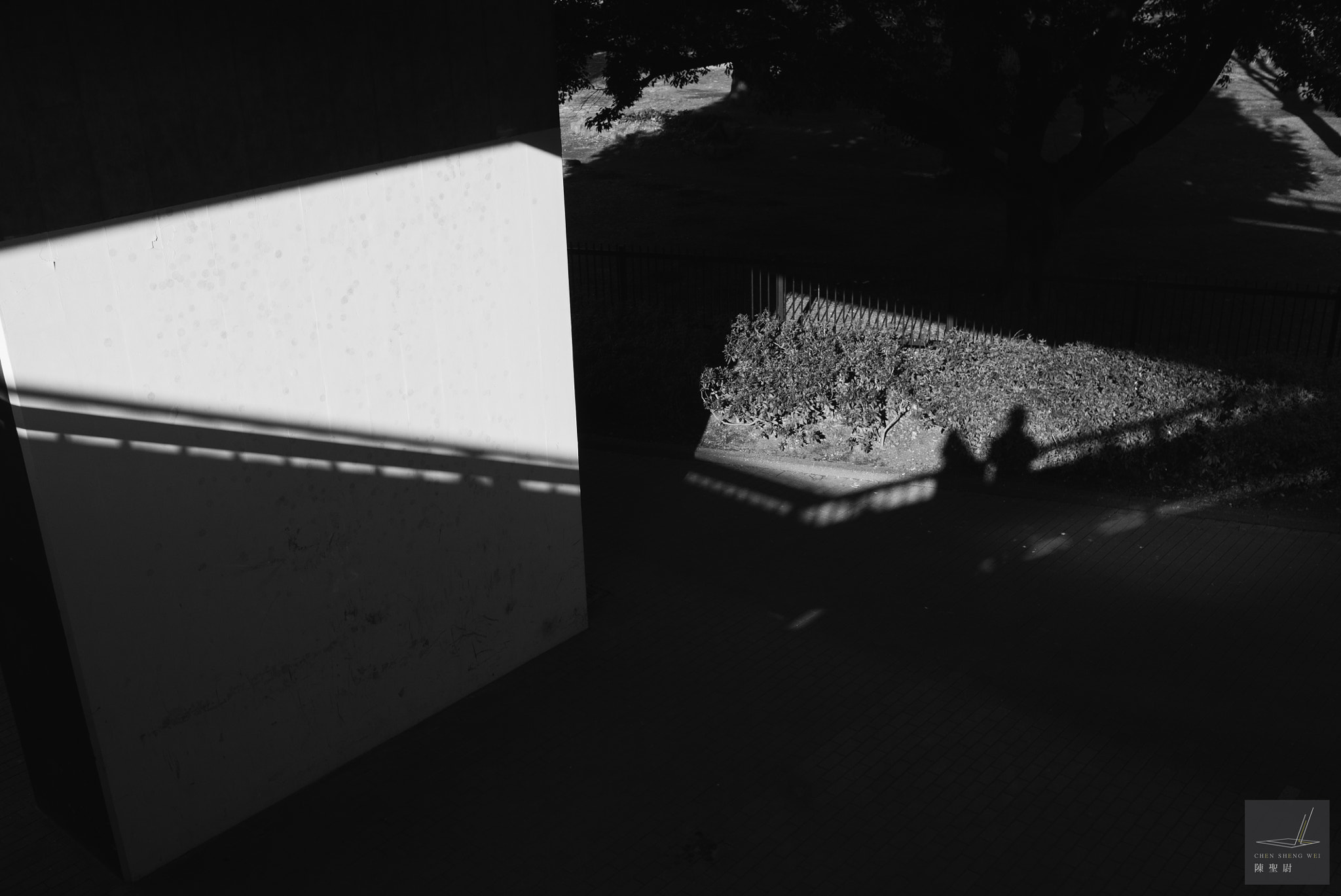Leica X1 sample photo. See us in the shadow photography