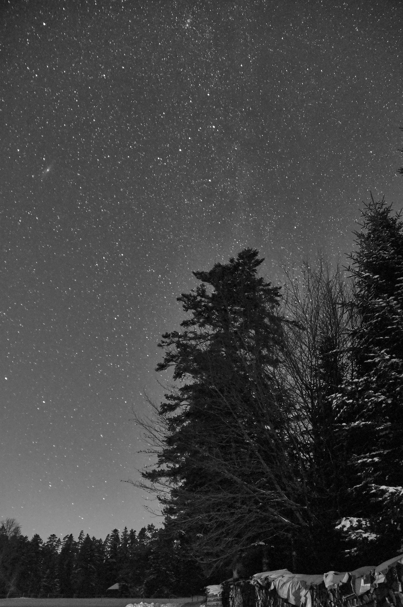 Sony SLT-A37 sample photo. Winternacht im schwarzwald photography