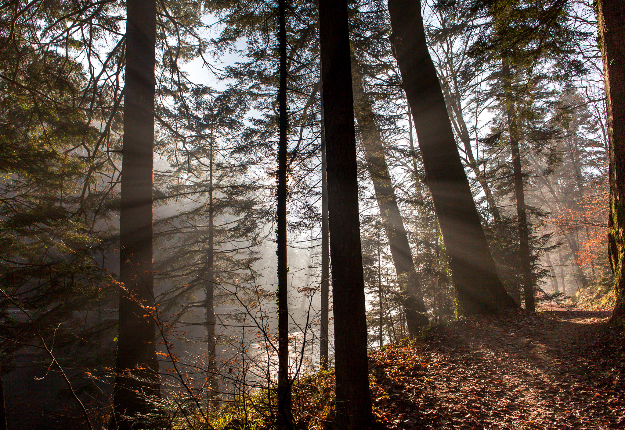 Canon EOS 5D Mark II + Canon EF 24mm F2.8 IS USM sample photo. Let the sunshine in. photography