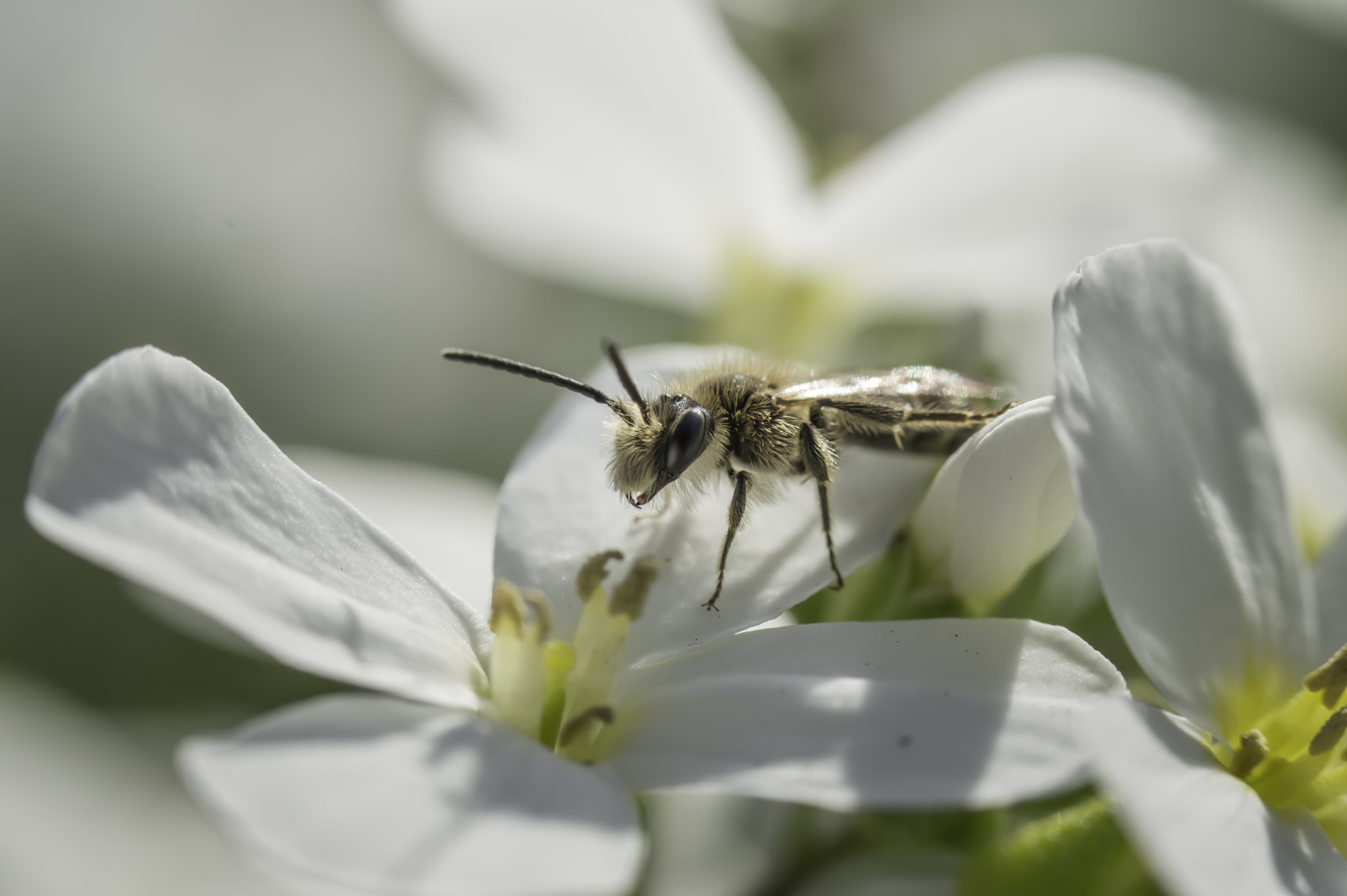 Nikon D3200 sample photo. Summer sun photography