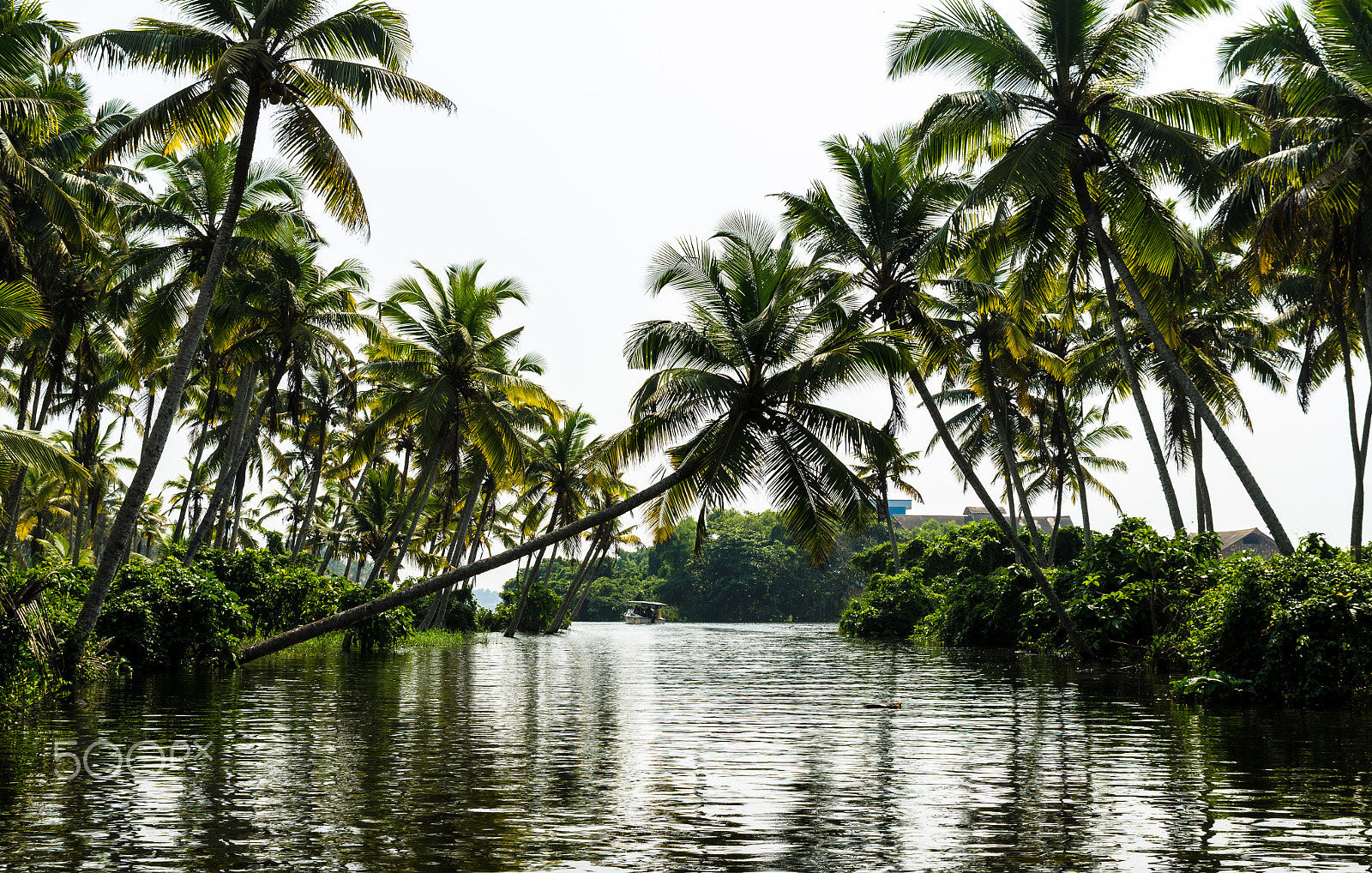 Tamron SP 24-70mm F2.8 Di VC USD sample photo. Poovar photography
