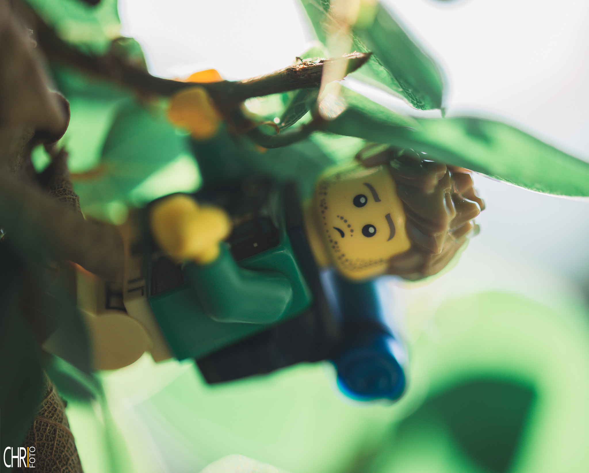 Sigma 105mm F2.8 EX DG OS HSM sample photo. Lego fun killer mariachi photography