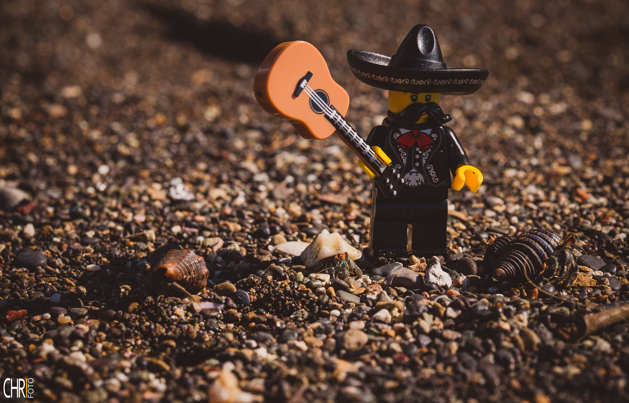Sigma 105mm F2.8 EX DG OS HSM sample photo. Lego fun killer mariachi photography