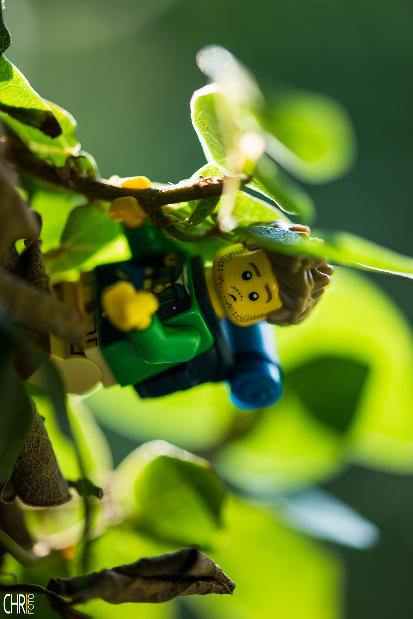 Sigma 105mm F2.8 EX DG OS HSM sample photo. Lego fun killer mariachi photography