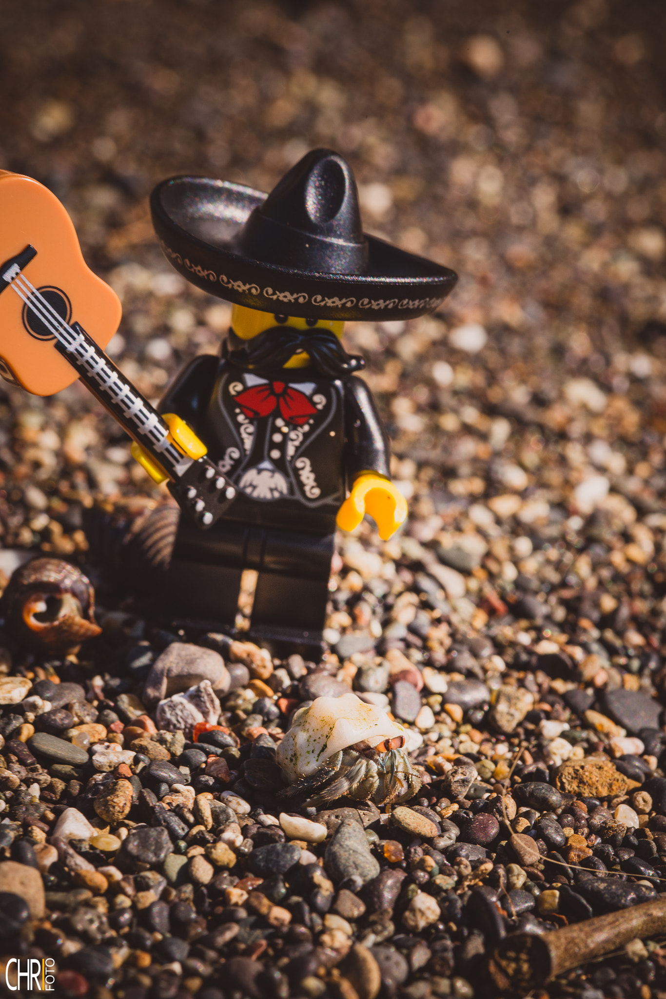 Sigma 105mm F2.8 EX DG OS HSM sample photo. Lego fun killer mariachi photography