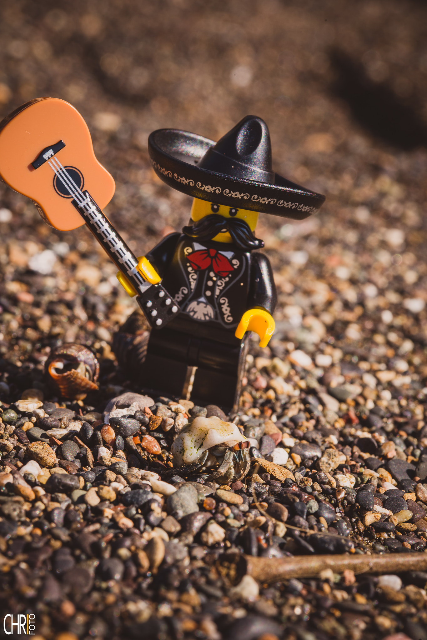 Sigma 105mm F2.8 EX DG OS HSM sample photo. Lego fun killer mariachi photography