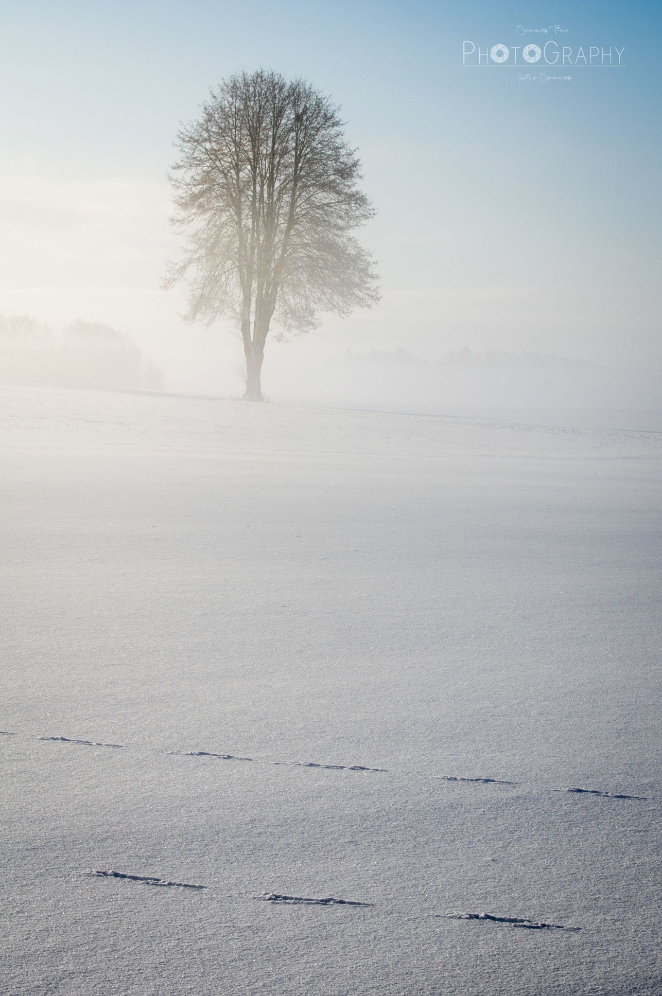 Pentax K-3 sample photo. Wintertime iii photography