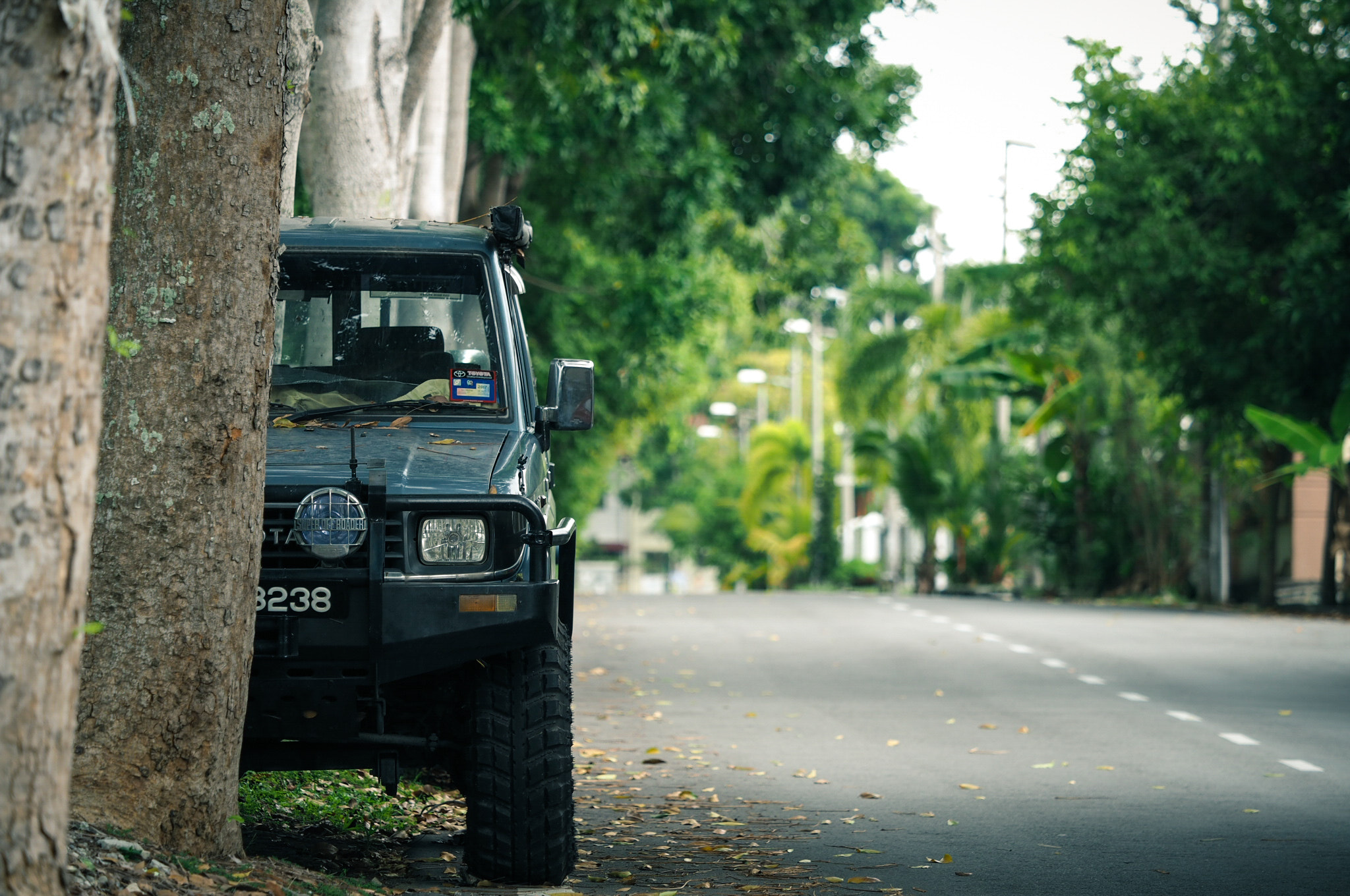 Olympus M.Zuiko Digital ED 40-150mm F2.8 Pro sample photo. Nilai, malaysia photography
