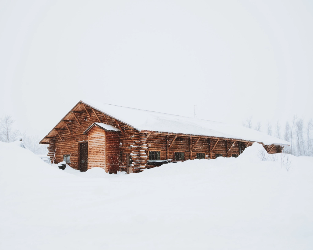 Snowed in.. Jackson, WY. by Berty Mandagie on 500px.com