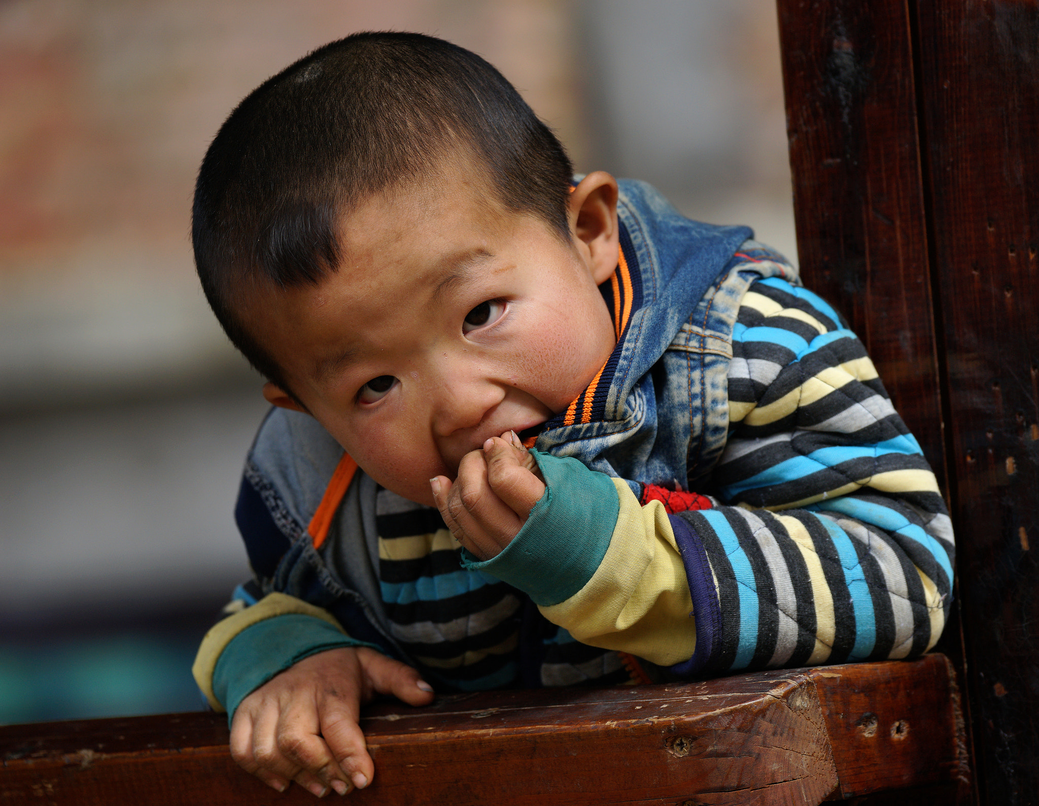 Sony 70-400mm F4-5.6 G SSM II sample photo. Untitled photography