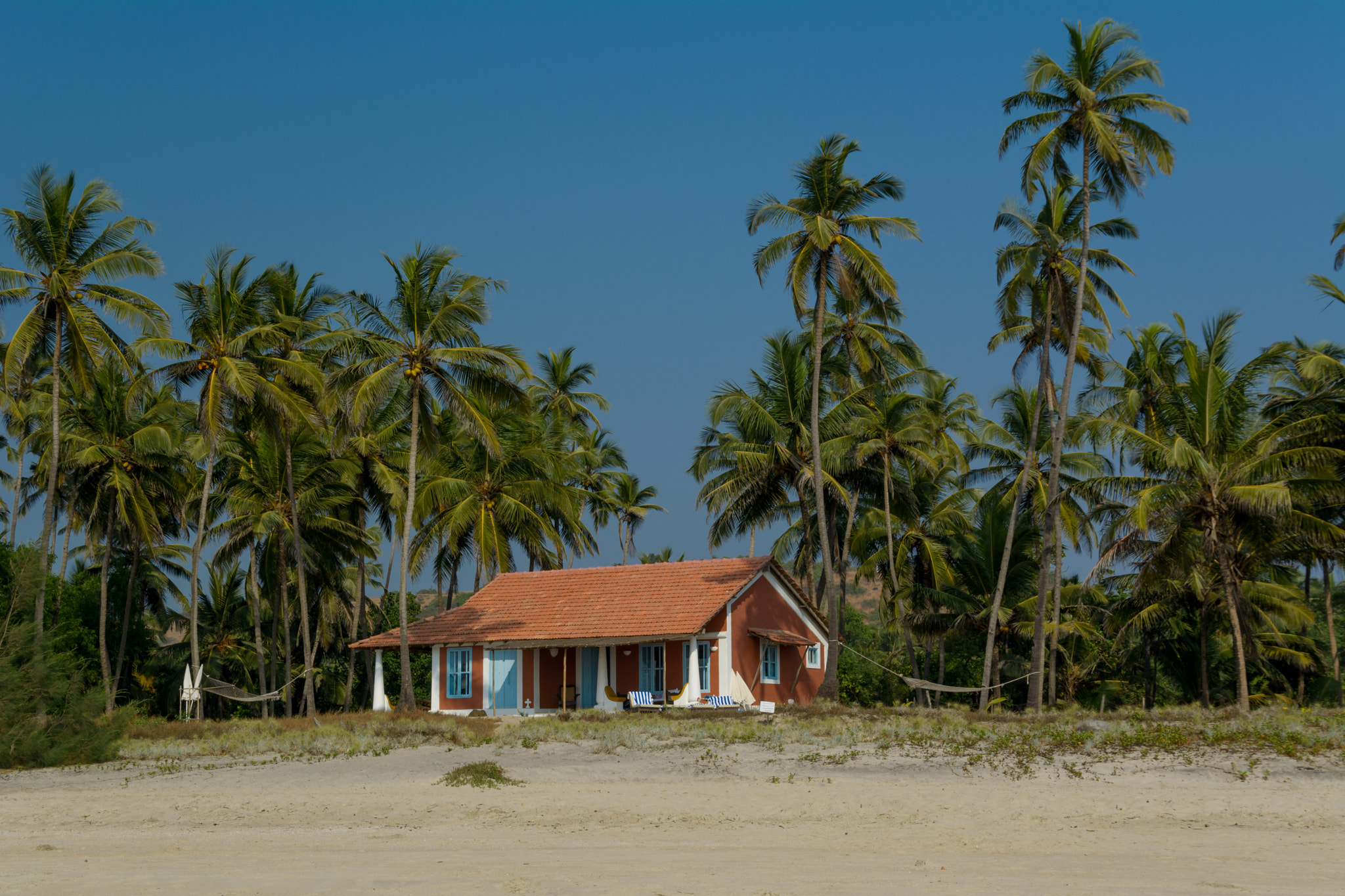 Sigma 28-300mm F3.5-6.3 DG Macro sample photo. Meanwhile in paradise... photography