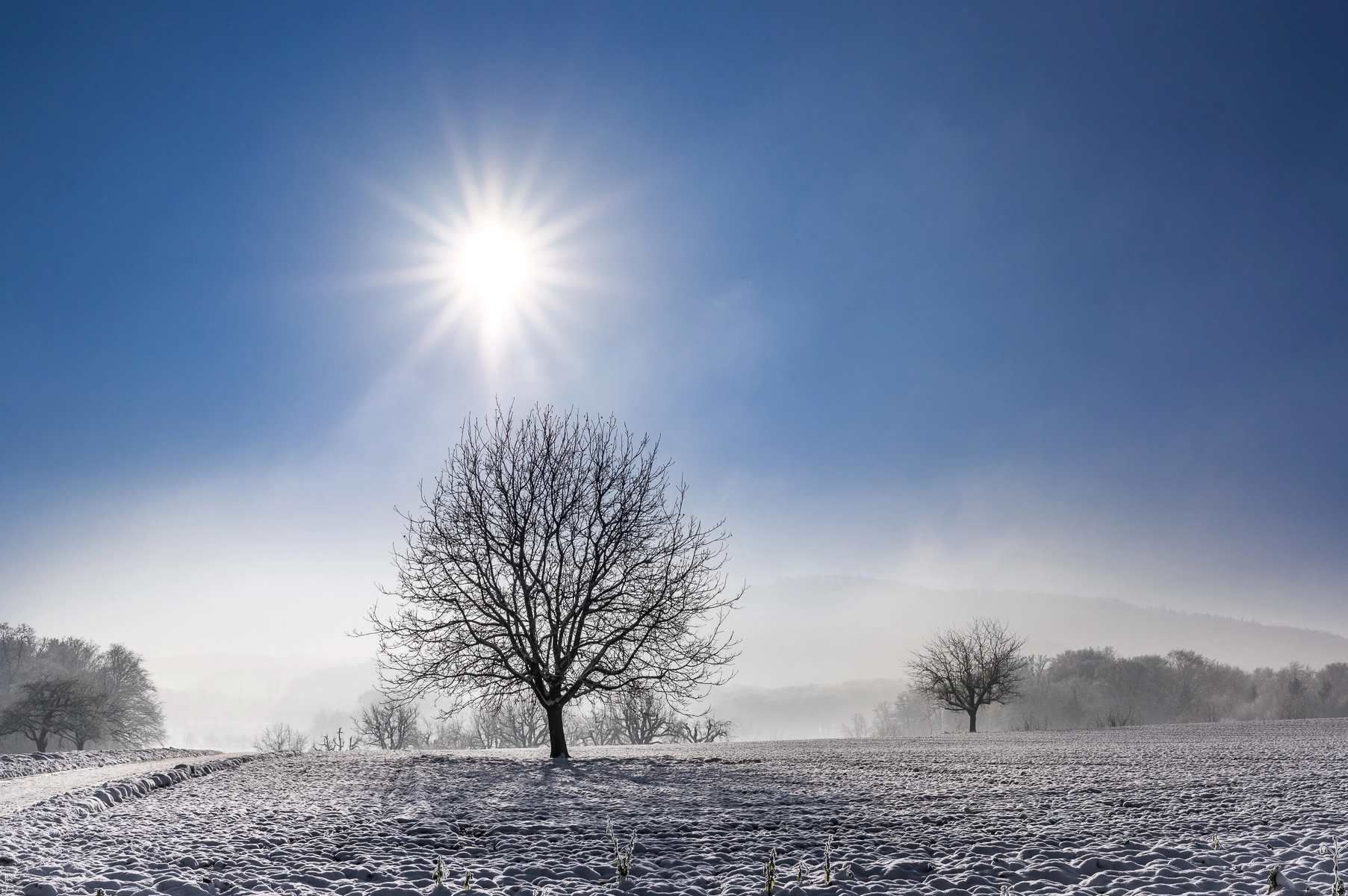 Pentax K-3 sample photo. Winter sun in basel-country photography