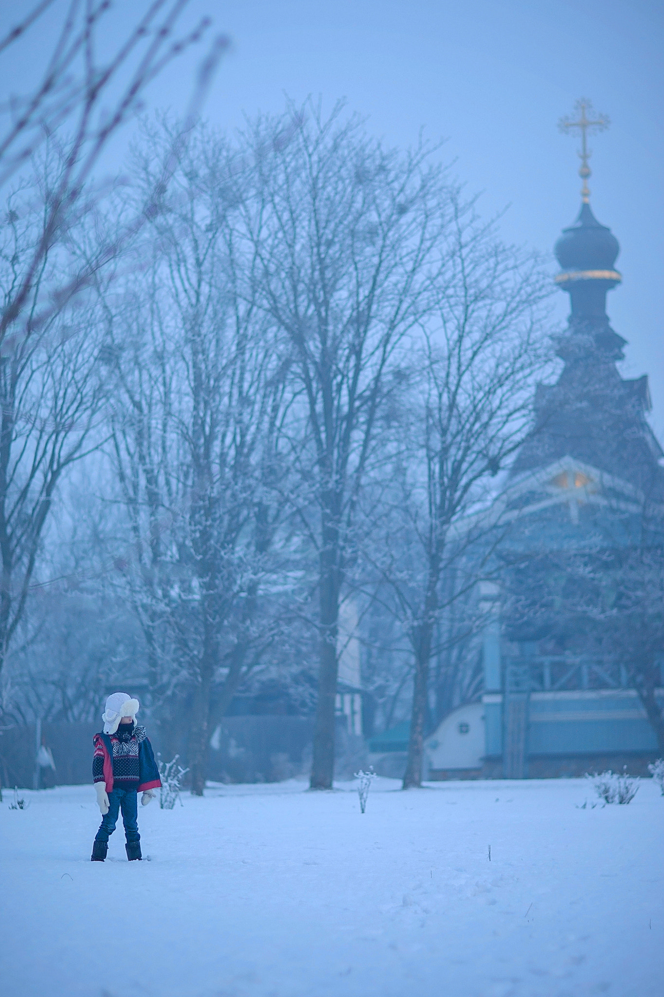 Canon EOS-1D Mark III sample photo. Ukrainian winter photography