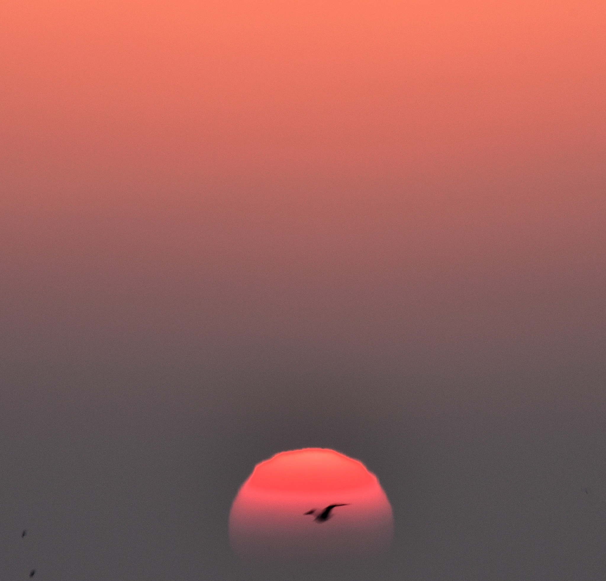 Nikon D810 sample photo