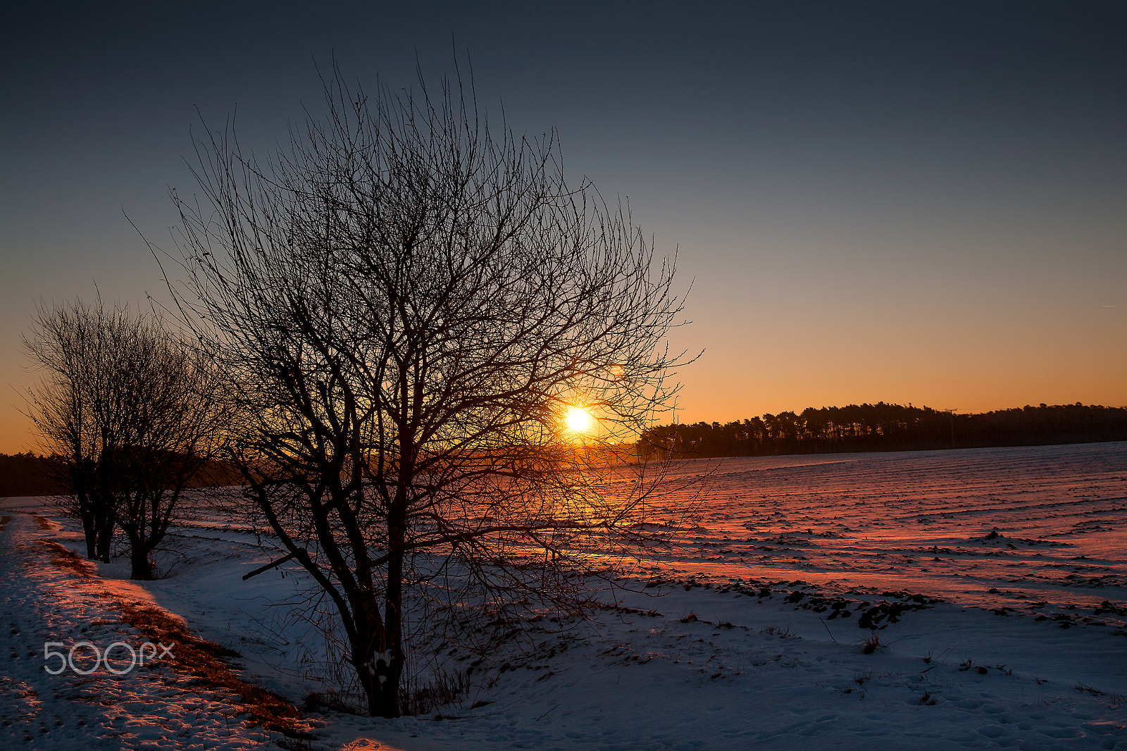 Canon EF 24-105mm F3.5-5.6 IS STM sample photo. Winter sun photography