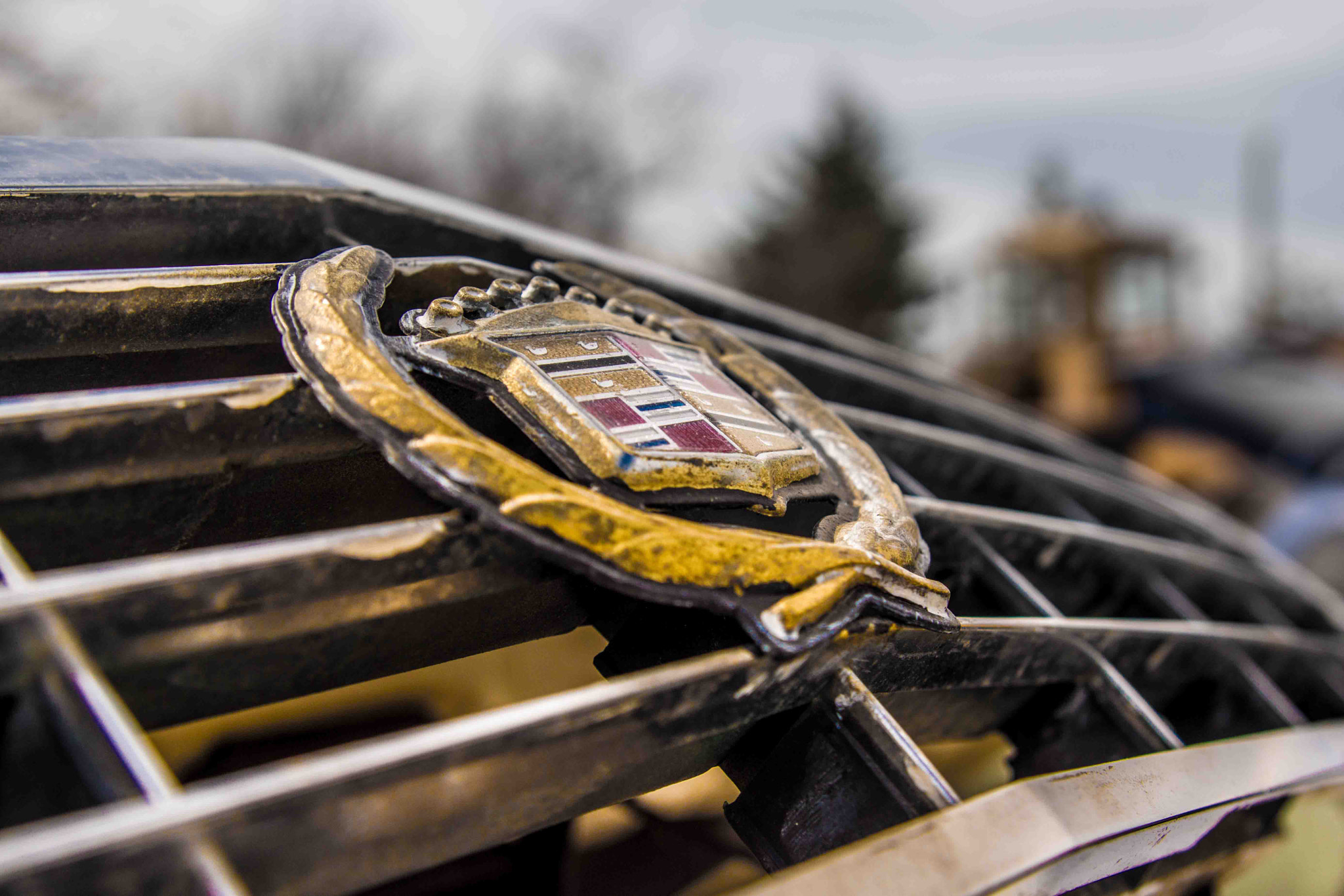 Sony SLT-A77 + 24-70mm F2.8 sample photo. Cadillac grill photography