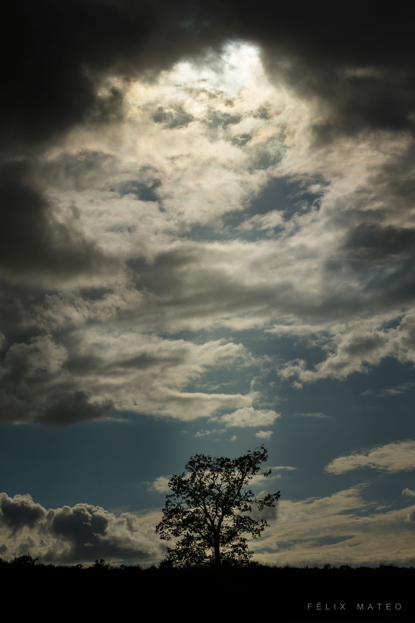 Canon EF 70-200mm F2.8L USM sample photo. Heaven's light photography