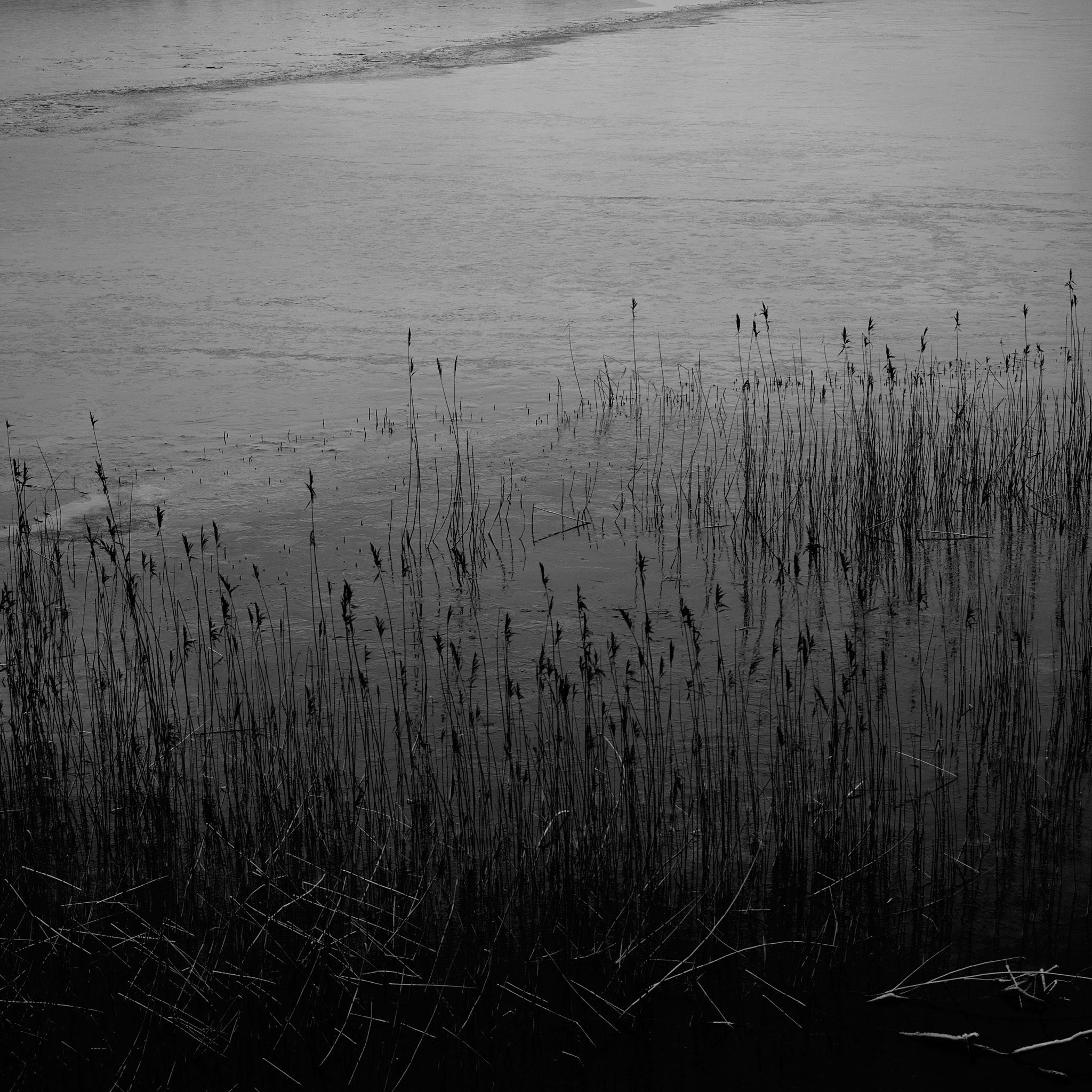 Nikon AF-S DX Micro Nikkor 40mm F2.8 sample photo. Ice on the lake 2 photography