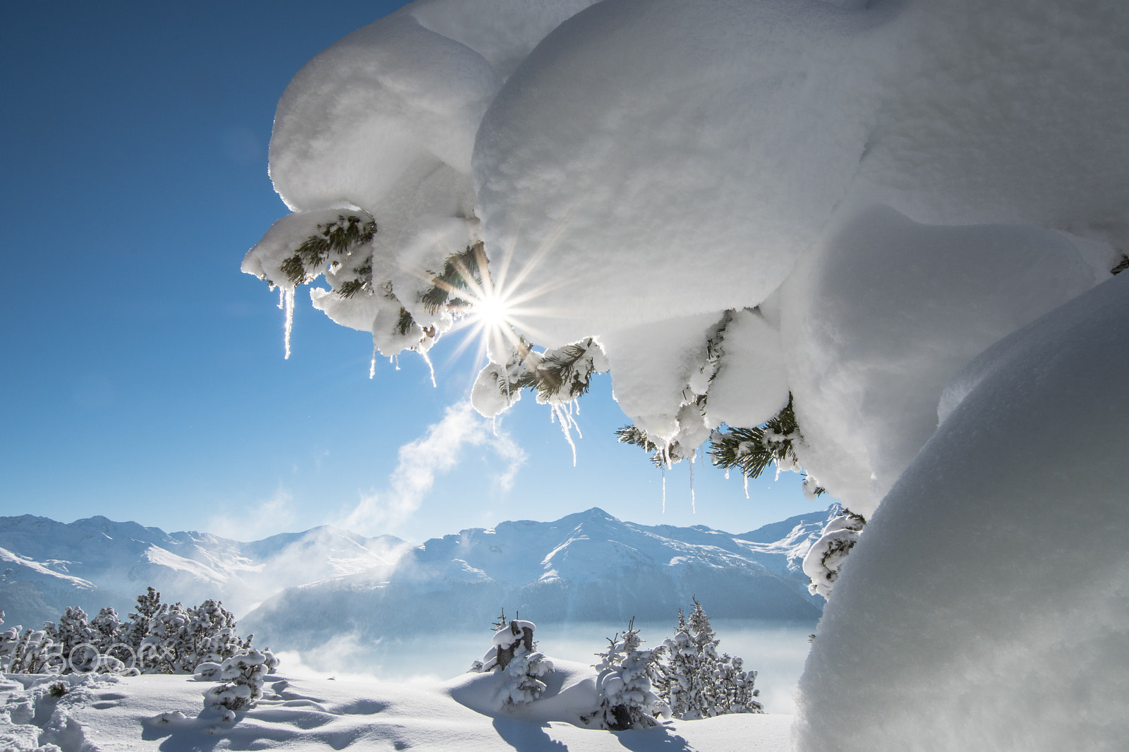 Nikon D500 sample photo. Tacky winter pic photography