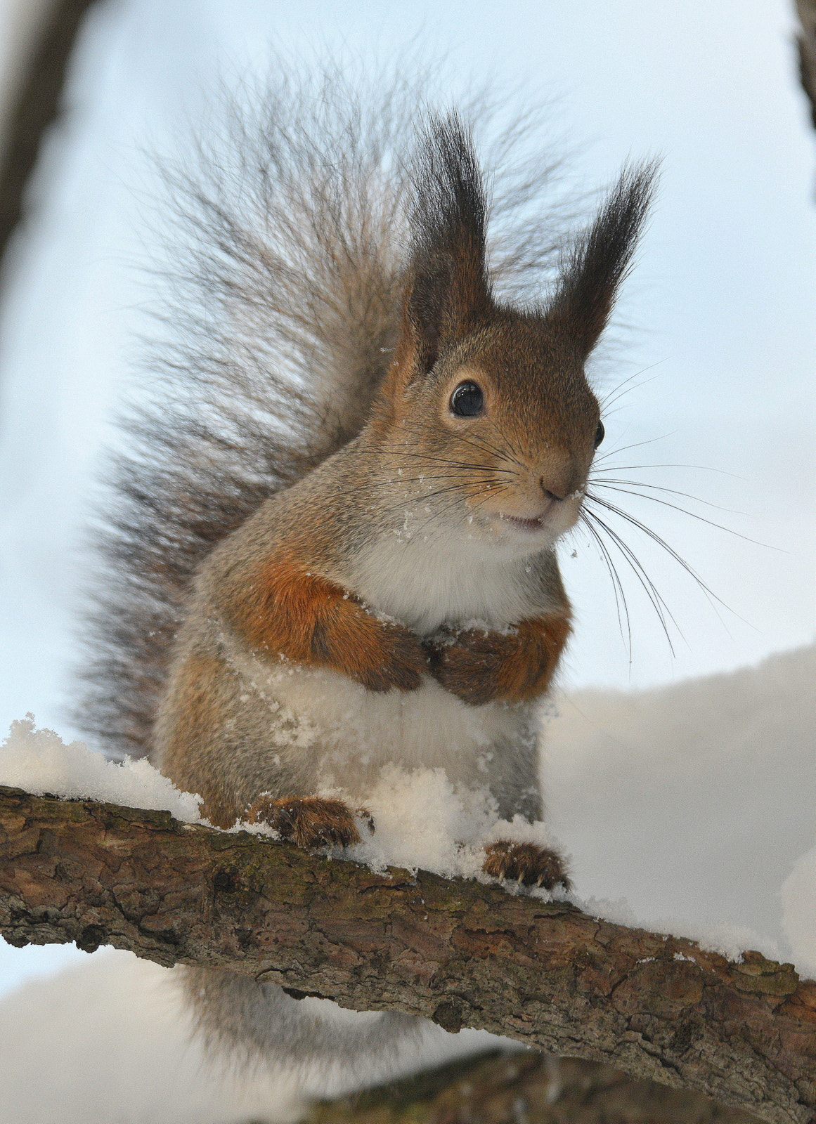 Nikon D800 sample photo. --- photography