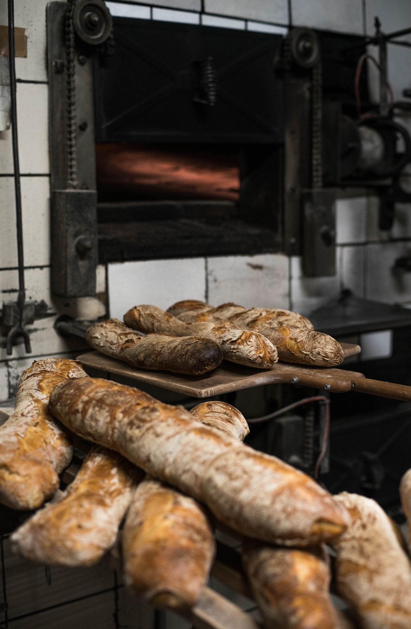 Minolta AF 50mm F1.4 [New] sample photo. Baguette photography