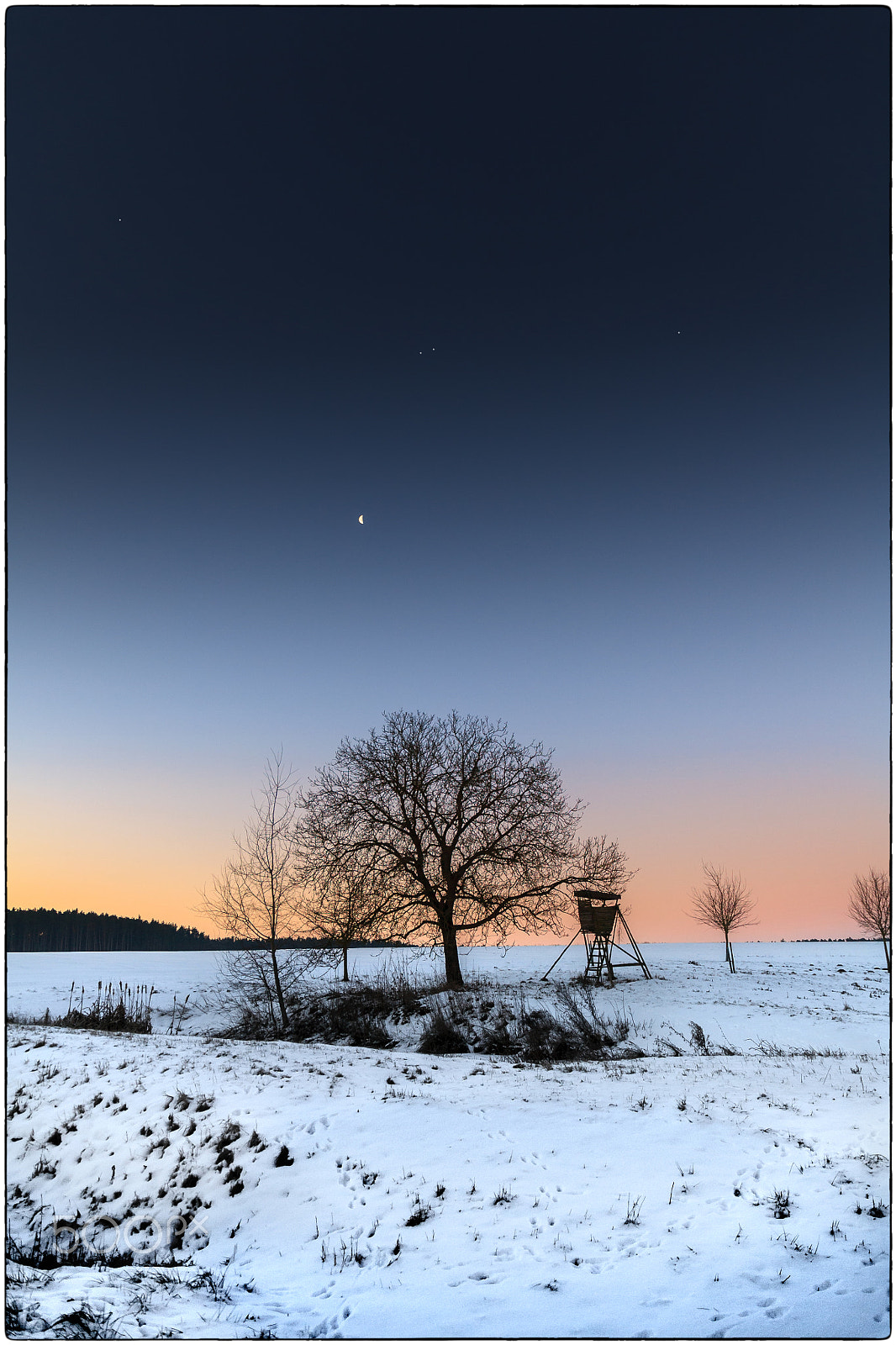 Canon EOS 5D sample photo. Winter field impression photography