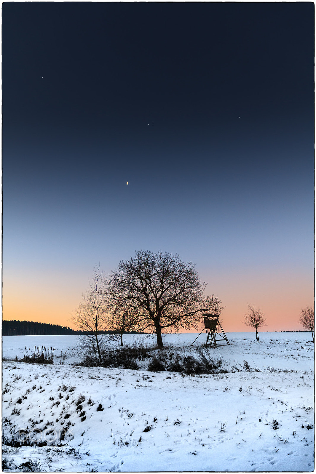 Canon EF 24-105mm F3.5-5.6 IS STM sample photo. Winter field impression photography
