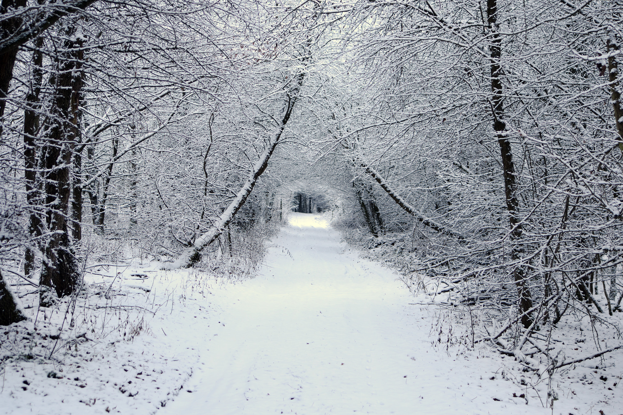 Nikon D3100 + Tamron SP 35mm F1.8 Di VC USD sample photo. Tunnel photography