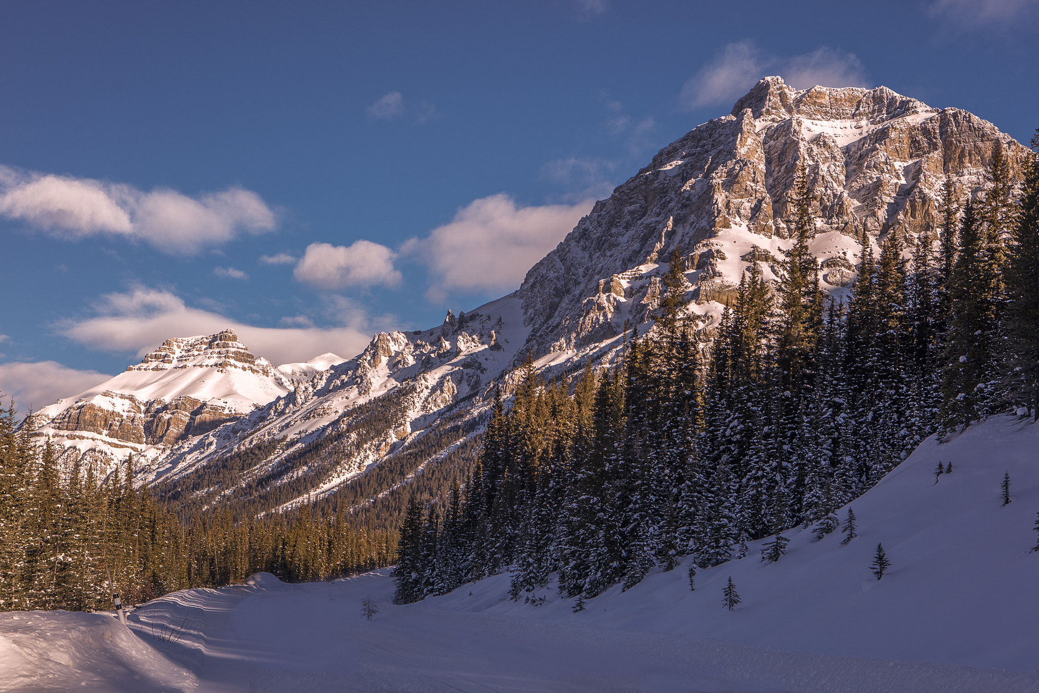 Canon EOS 5DS R sample photo. Winter road to jasper photography