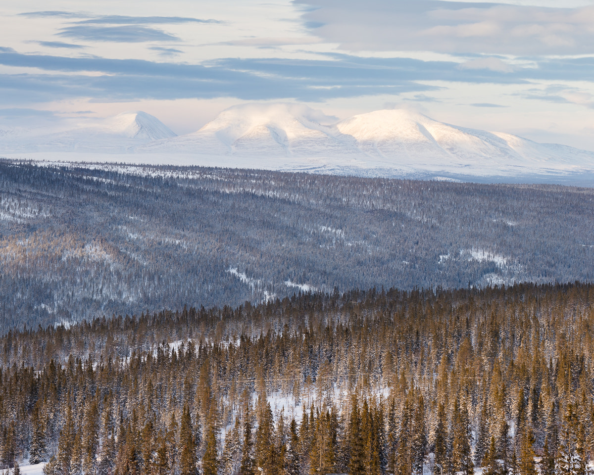 Canon EOS 5DS R + ZEISS Apo Sonnar T* 135mm F2 sample photo. Rendalssølen i photography