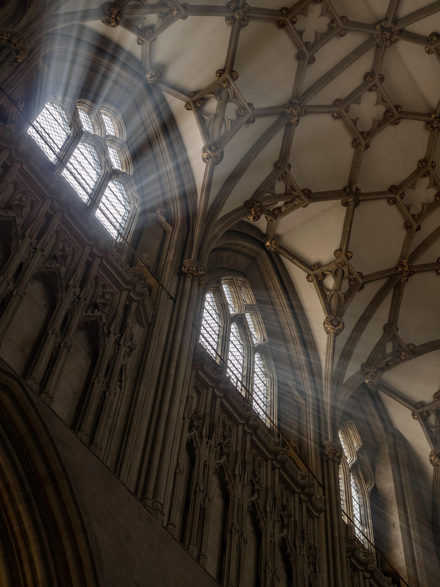 Panasonic Lumix DMC-GX8 + Panasonic Leica DG Summilux 25mm F1.4 II ASPH sample photo. Rays of light photography