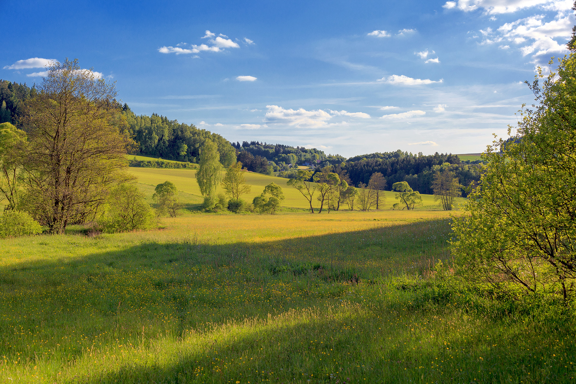 Canon EF 50mm f/1.8 sample photo. Oberpfalz photography