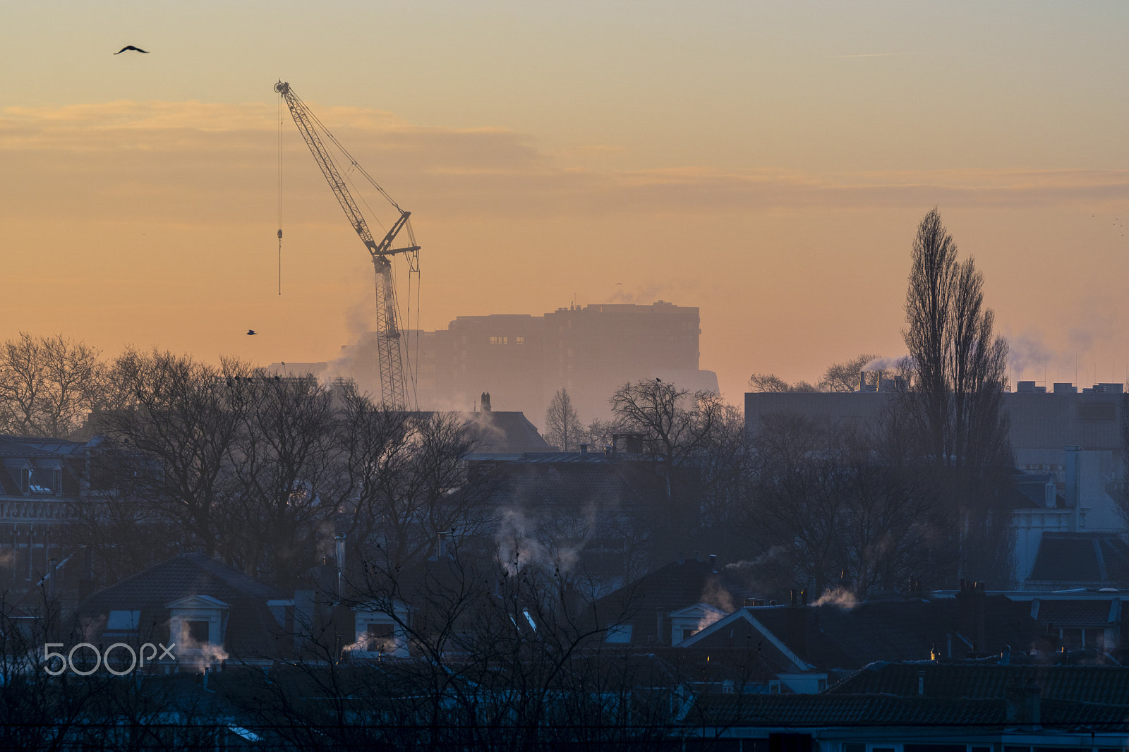 Sony ILCA-77M2 + Tamron SP 70-200mm F2.8 Di VC USD sample photo. Cold morning photography