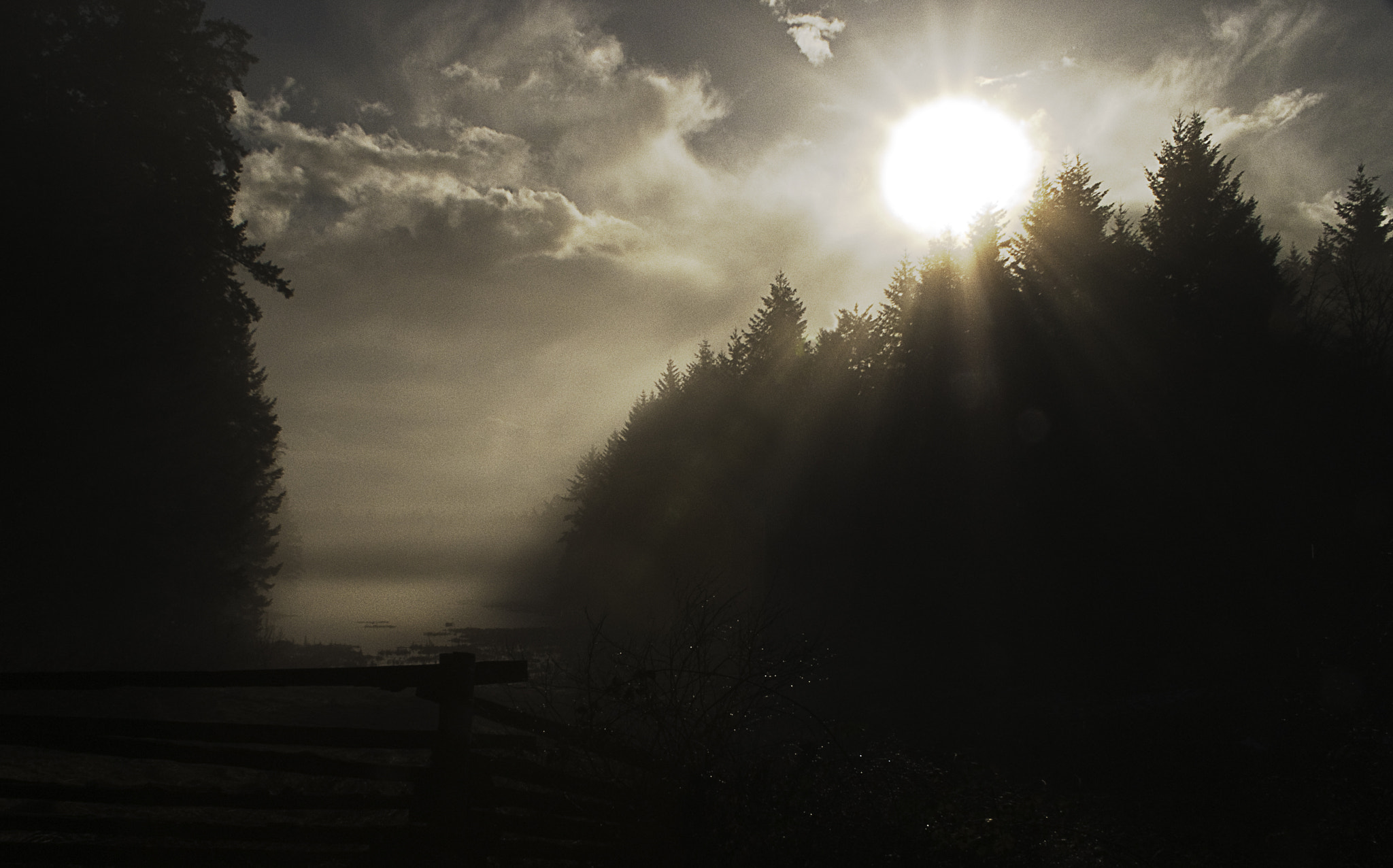 Sony Alpha DSLR-A700 sample photo. Winter photography