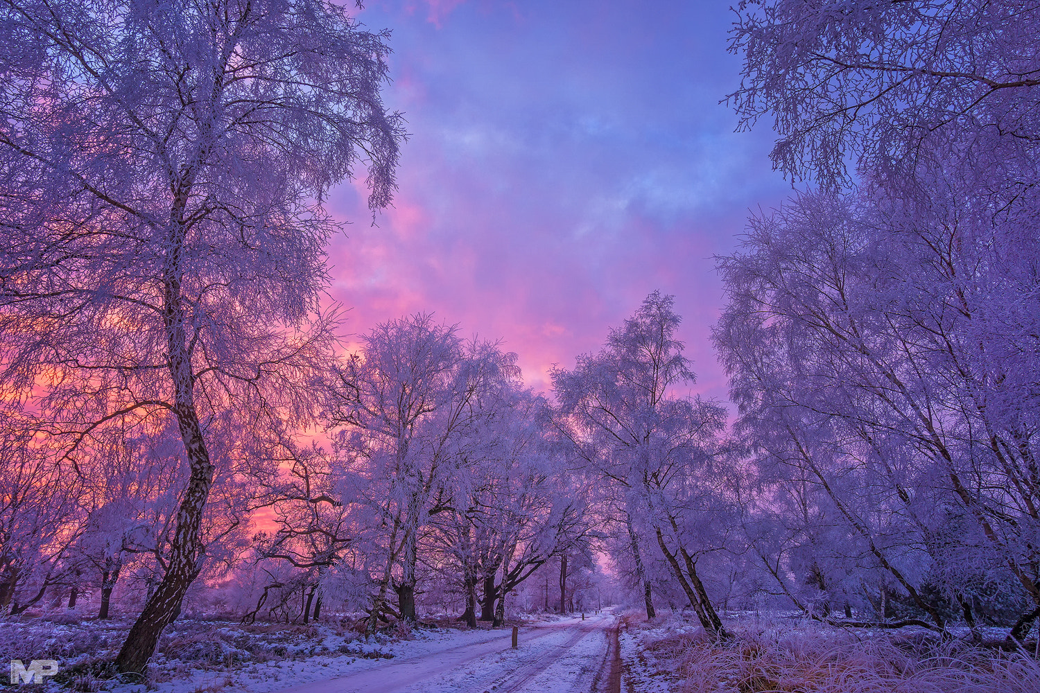 Sony a5100 + Sony E 10-18mm F4 OSS sample photo. Winter wonderland photography