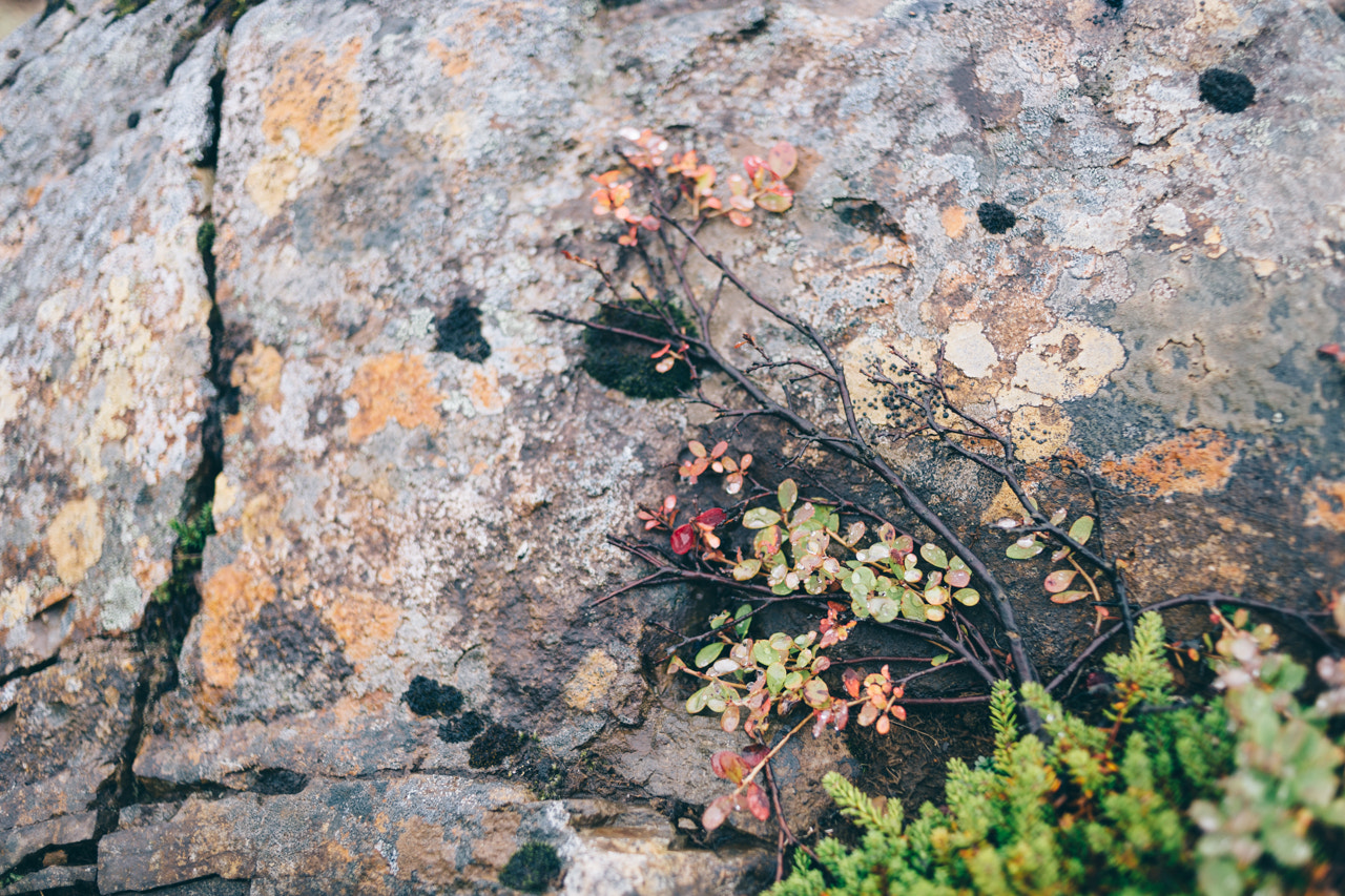 Canon EOS 6D + Canon EF 35mm F2 sample photo. Iceland photography