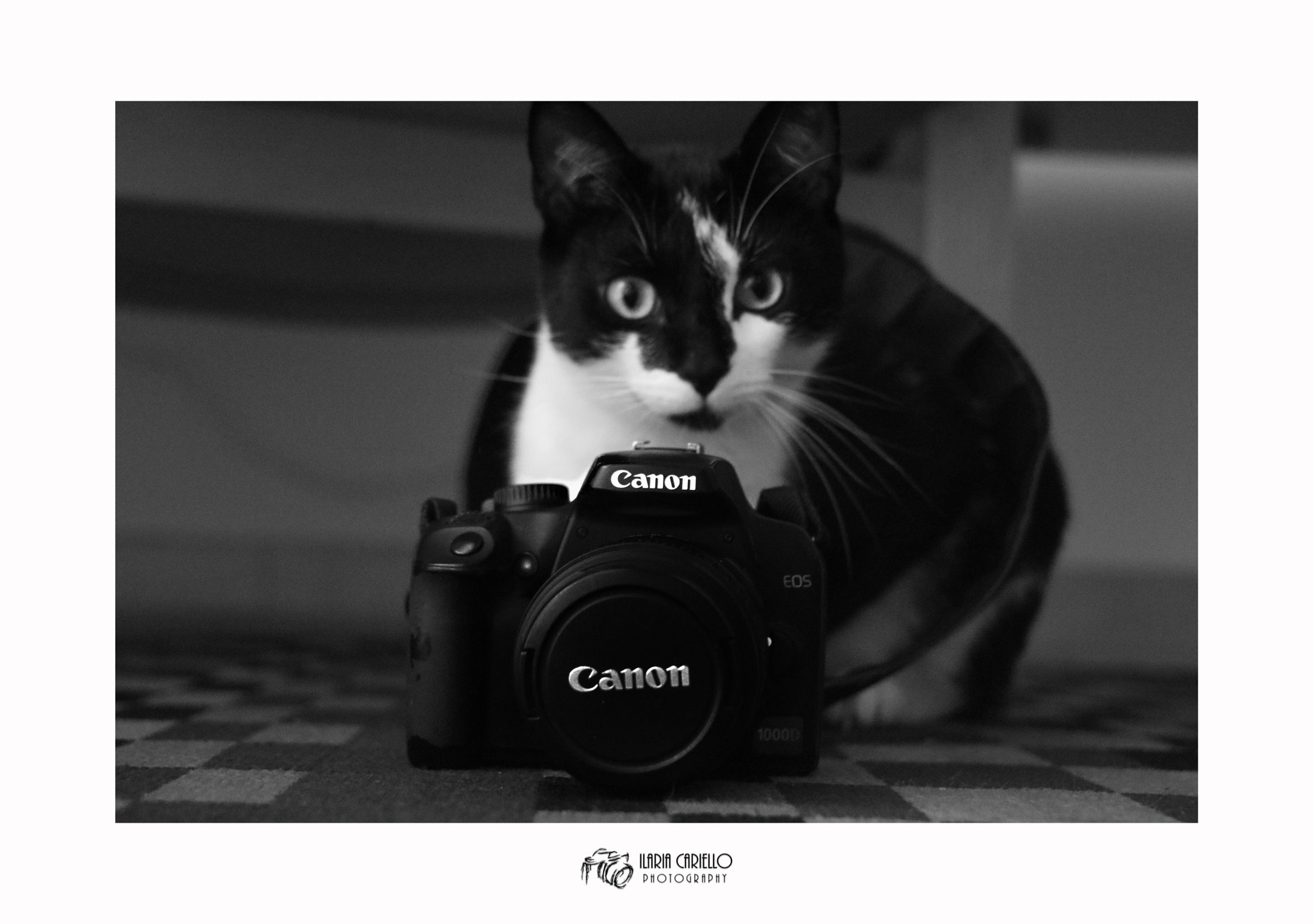 Canon EOS 760D (EOS Rebel T6s / EOS 8000D) sample photo. Click! photography