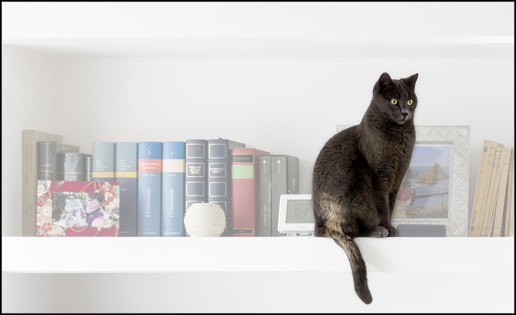 Canon EOS 60D sample photo. Guardian home photography