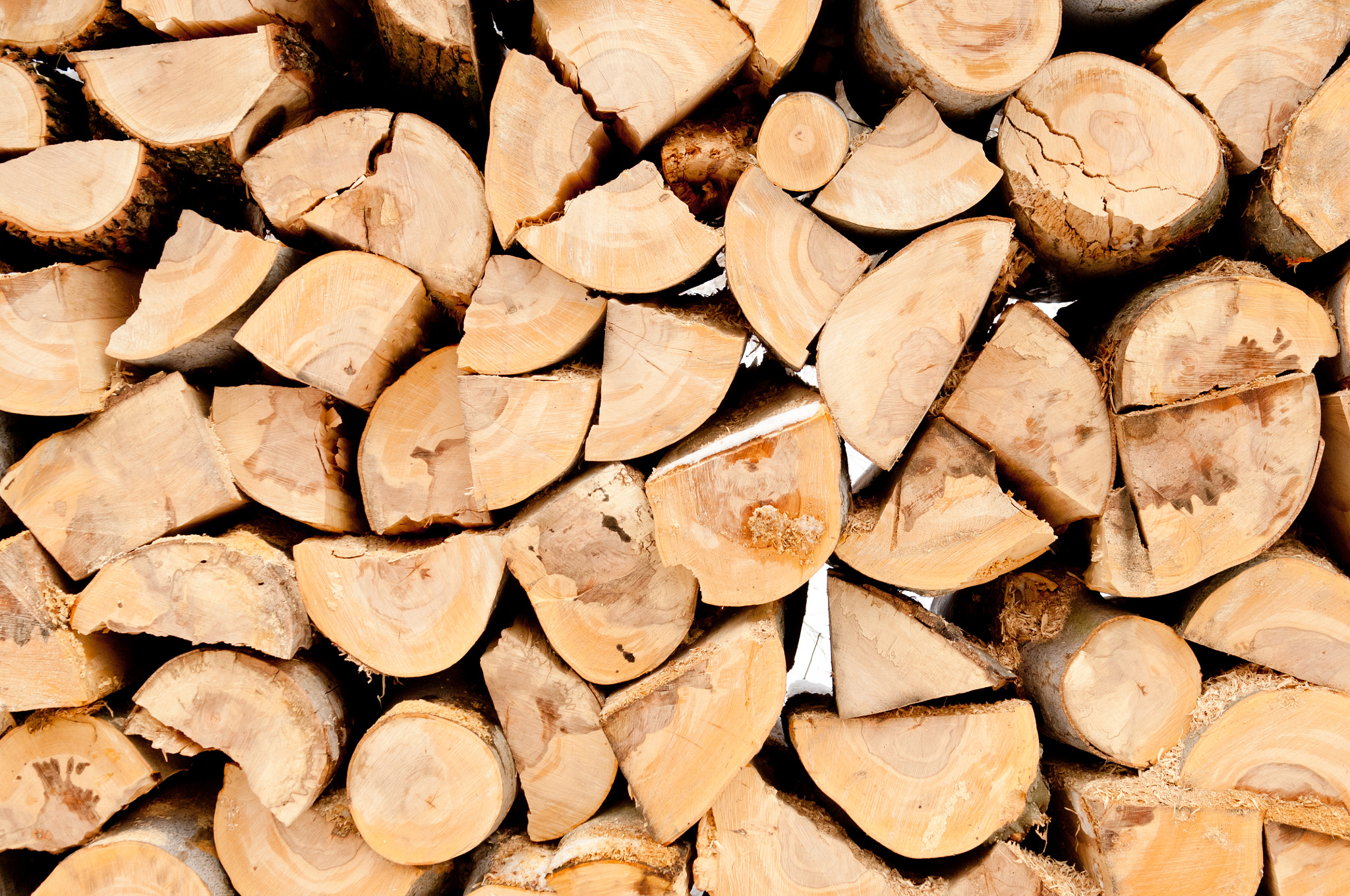 Nikon D2X sample photo. Pile of chopped unseasoned firewood logs photography