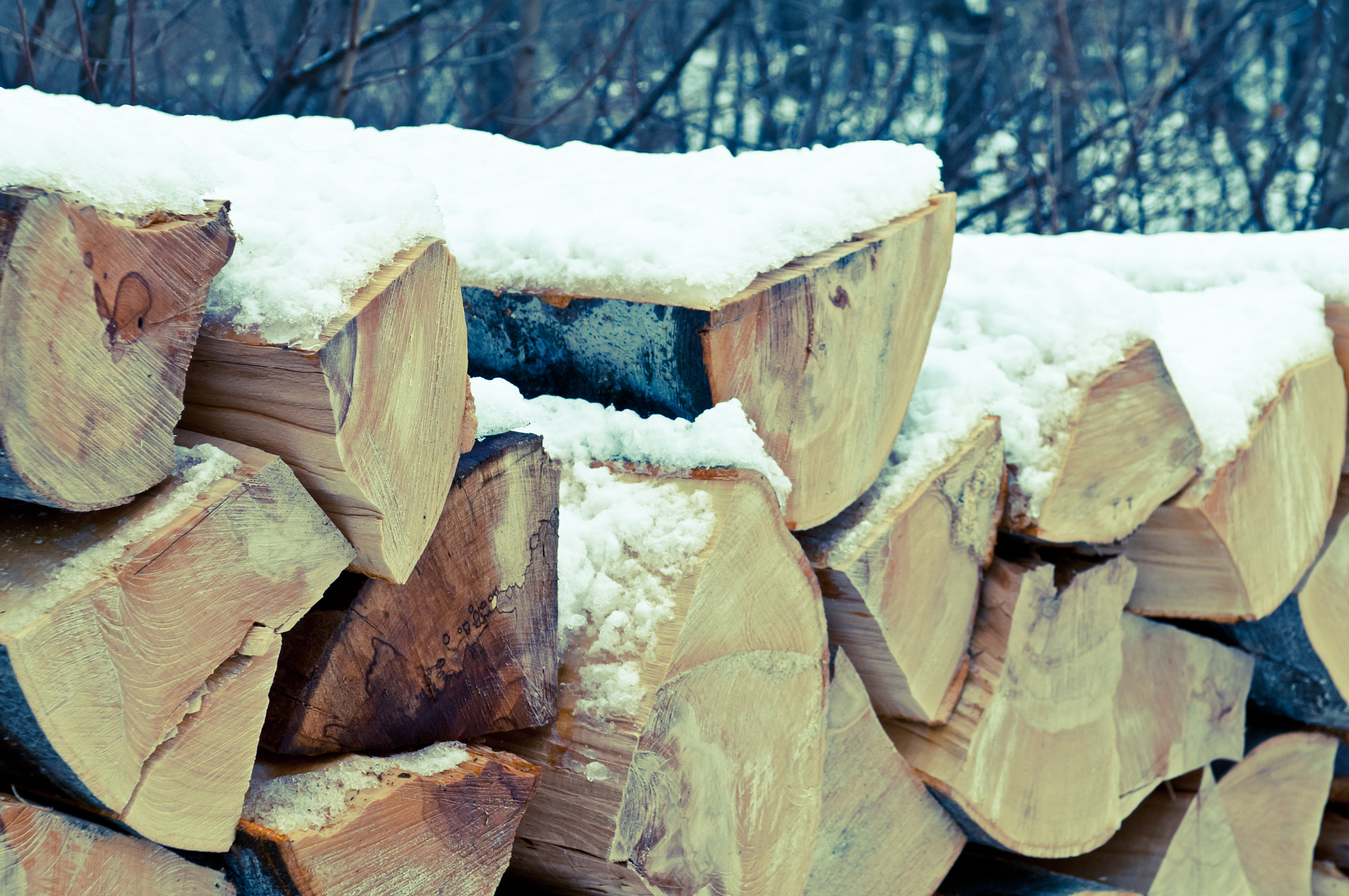 Nikon D2X sample photo. Pile of chopped unseasoned firewood logs photography