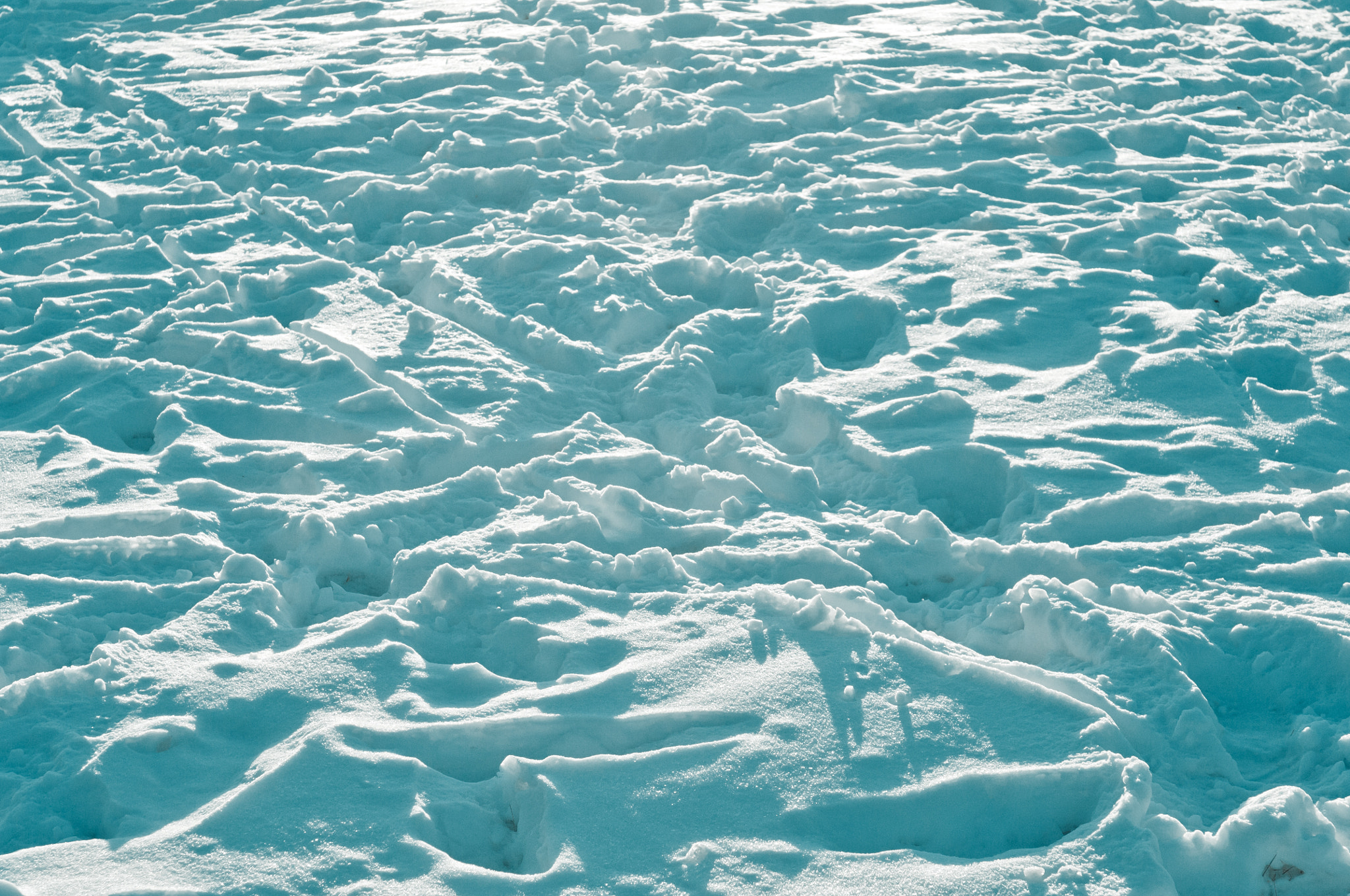 Nikon D2X sample photo. Trampled snow background photography