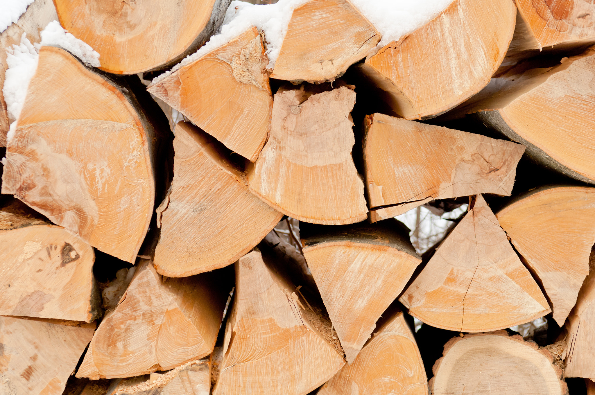 Nikon D2X sample photo. Pile of chopped unseasoned firewood logs photography