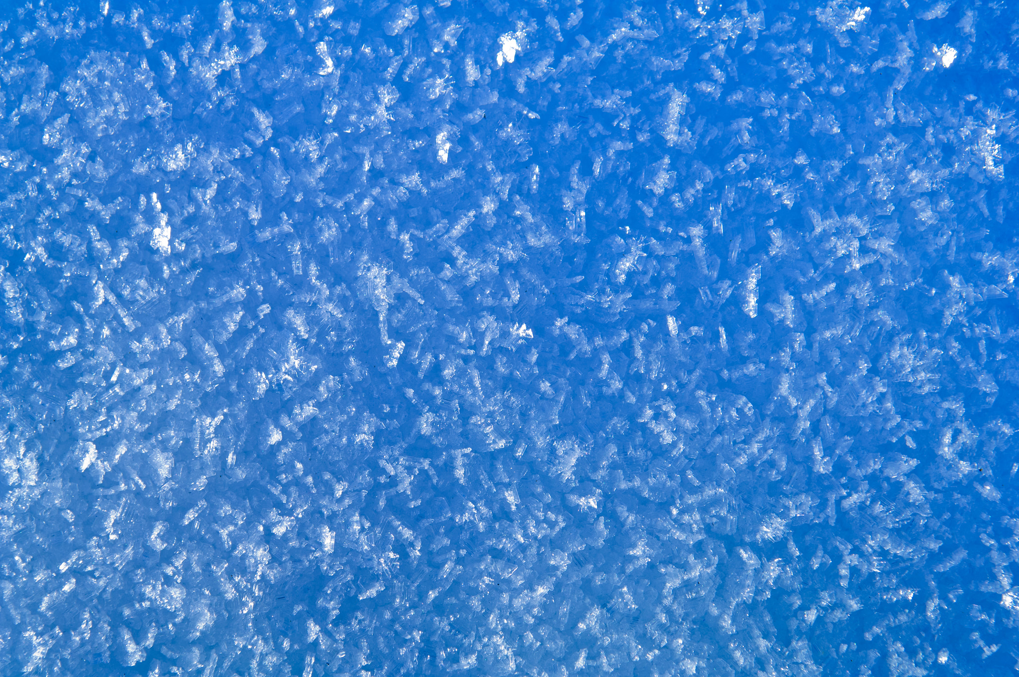 Nikon D2X sample photo. Blue snow and hoarfrost background with big crystals photography