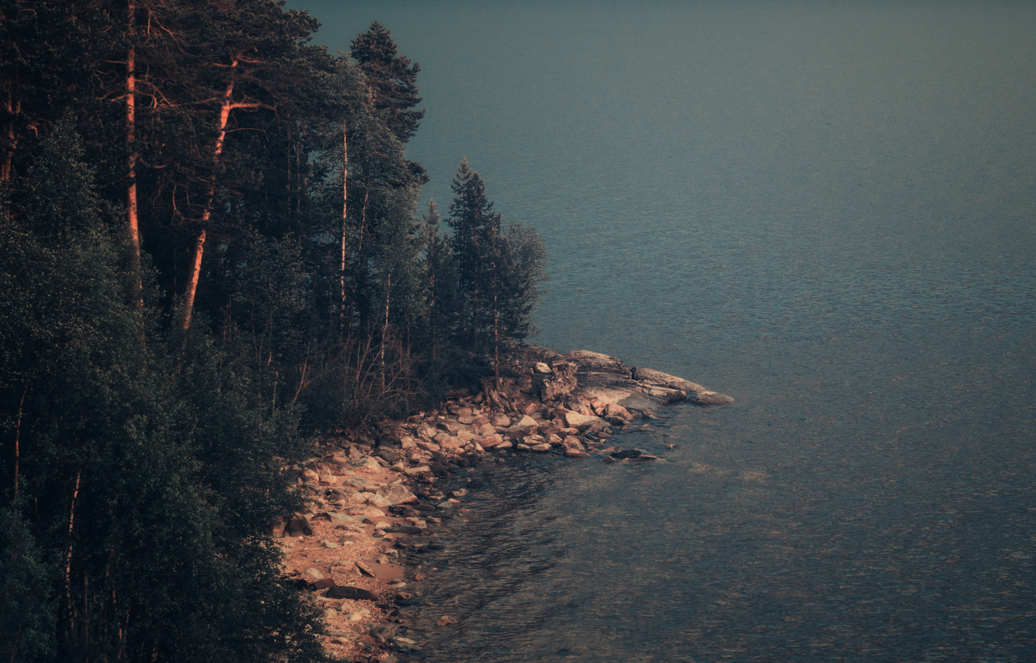 Olympus OM-D E-M5 II sample photo. Looking from the height of bird photography